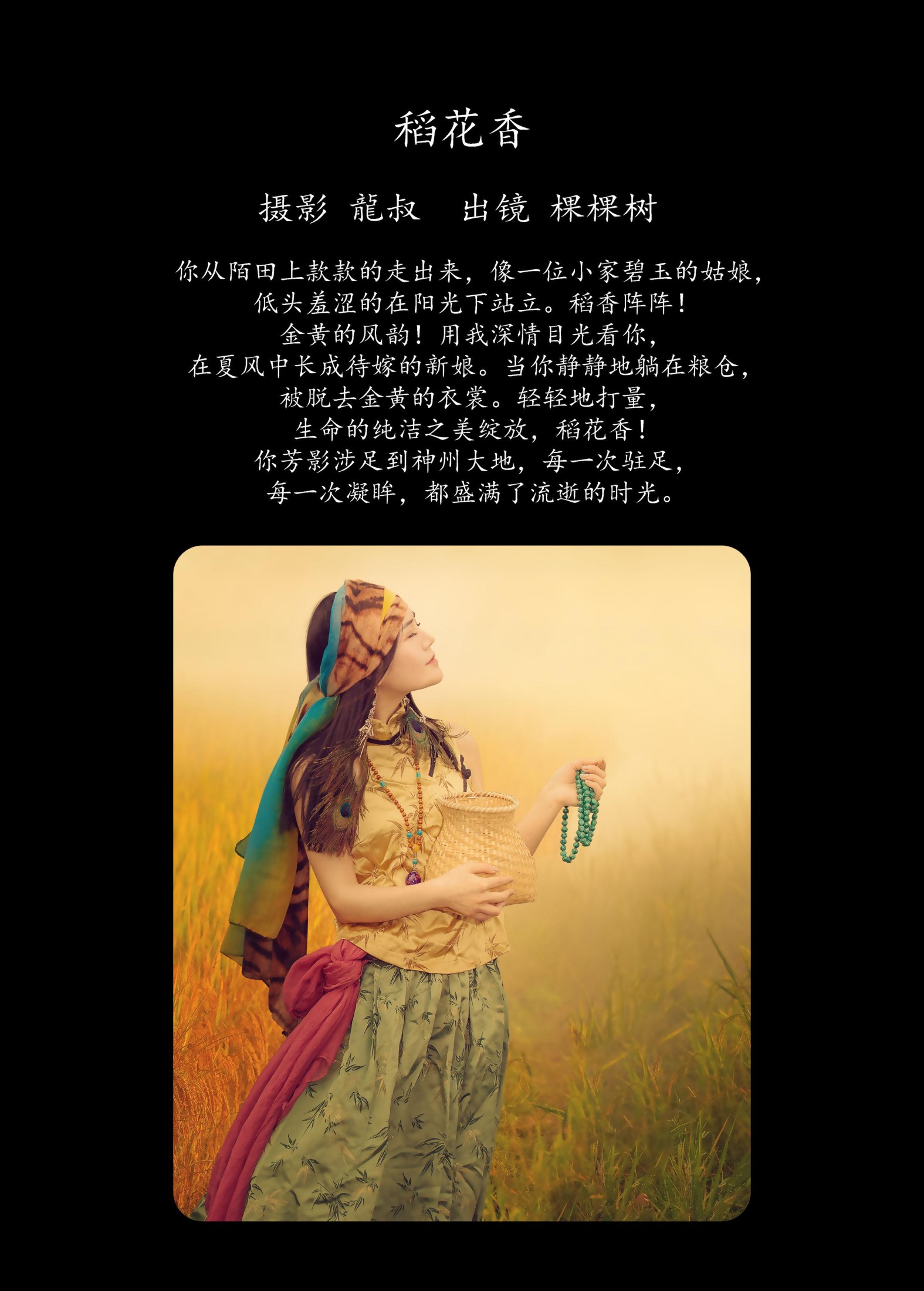 棵棵树 – 《稻花香》[40P] 插图2