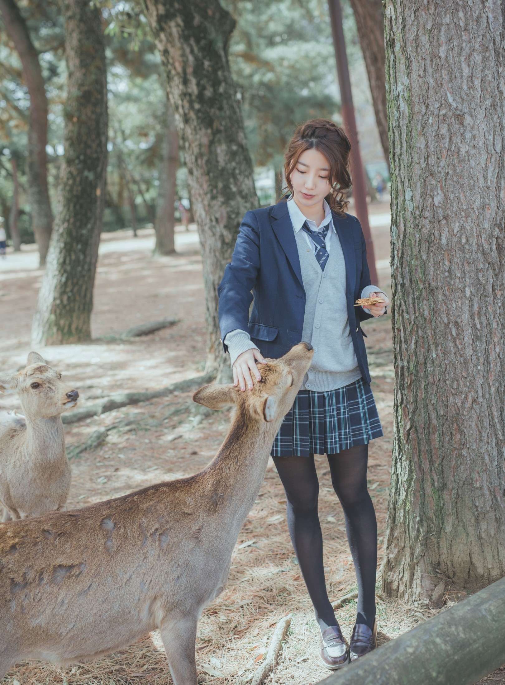 川川 – 《奈良の夏》[23P] 插图4