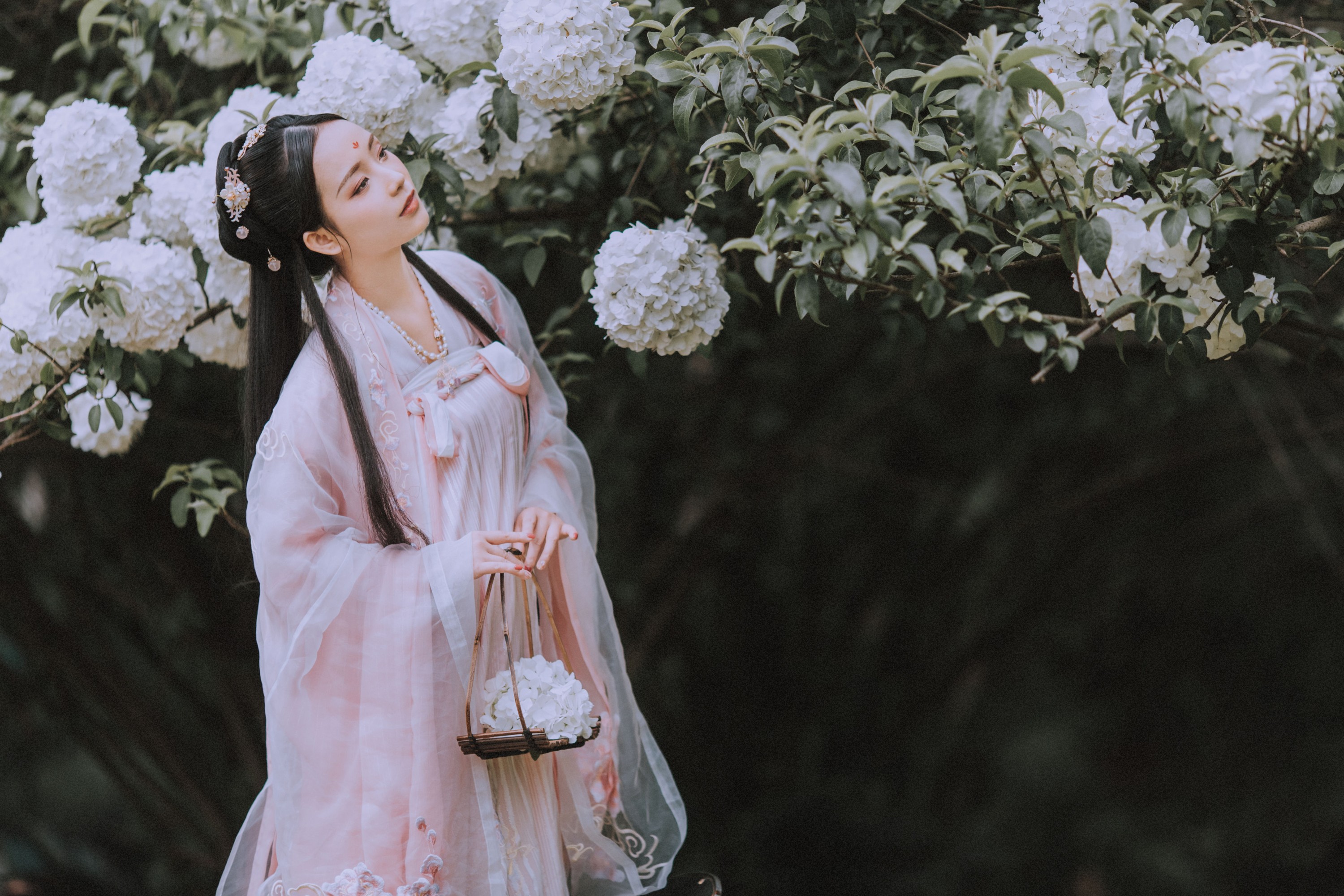 xxSilver – 《满袖春》[36P] 插图4