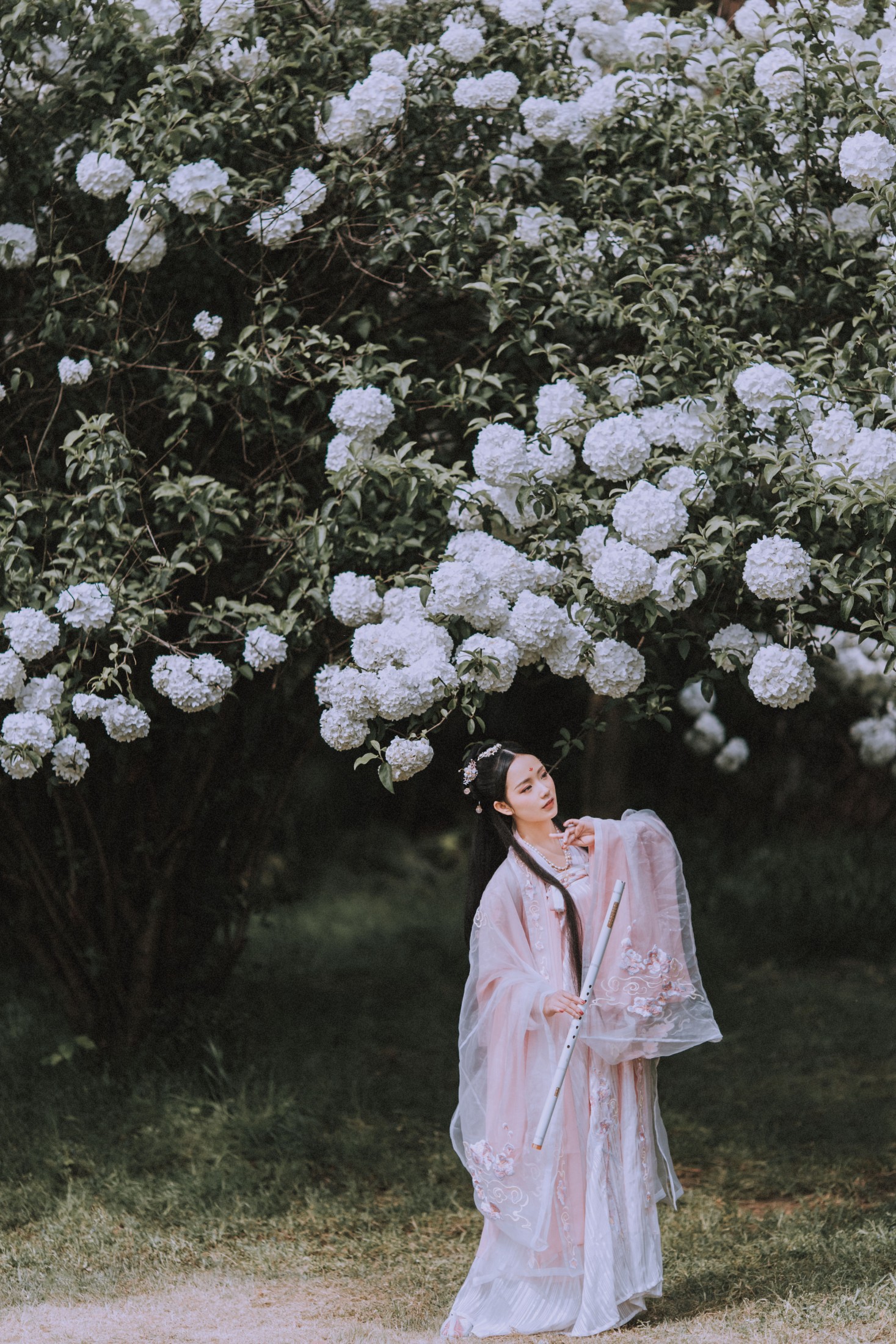 xxSilver – 《满袖春》[36P] 插图3