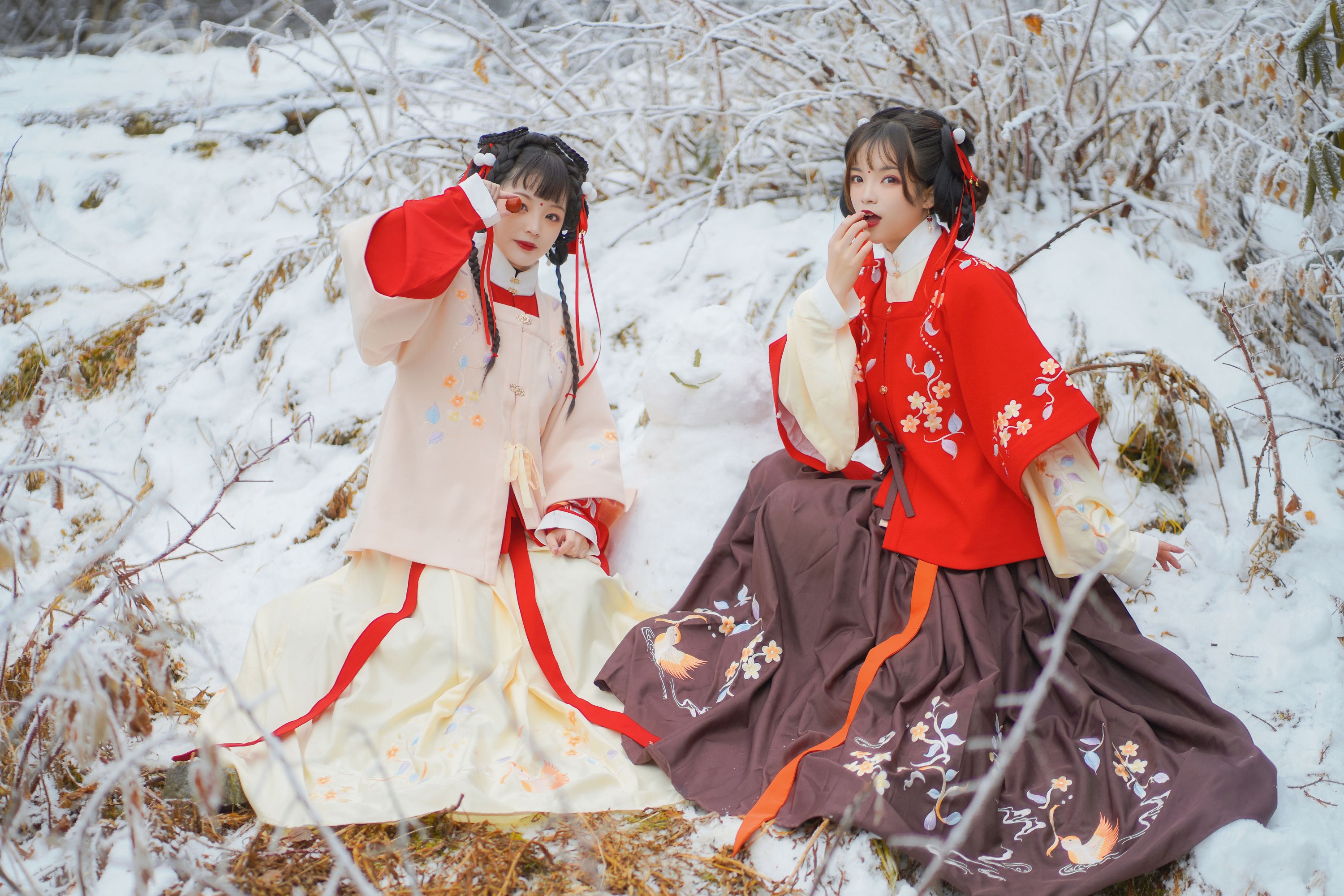 赵瑞洁EZ_ 眠小眠 – 《雪中少女》[21P] 插图3