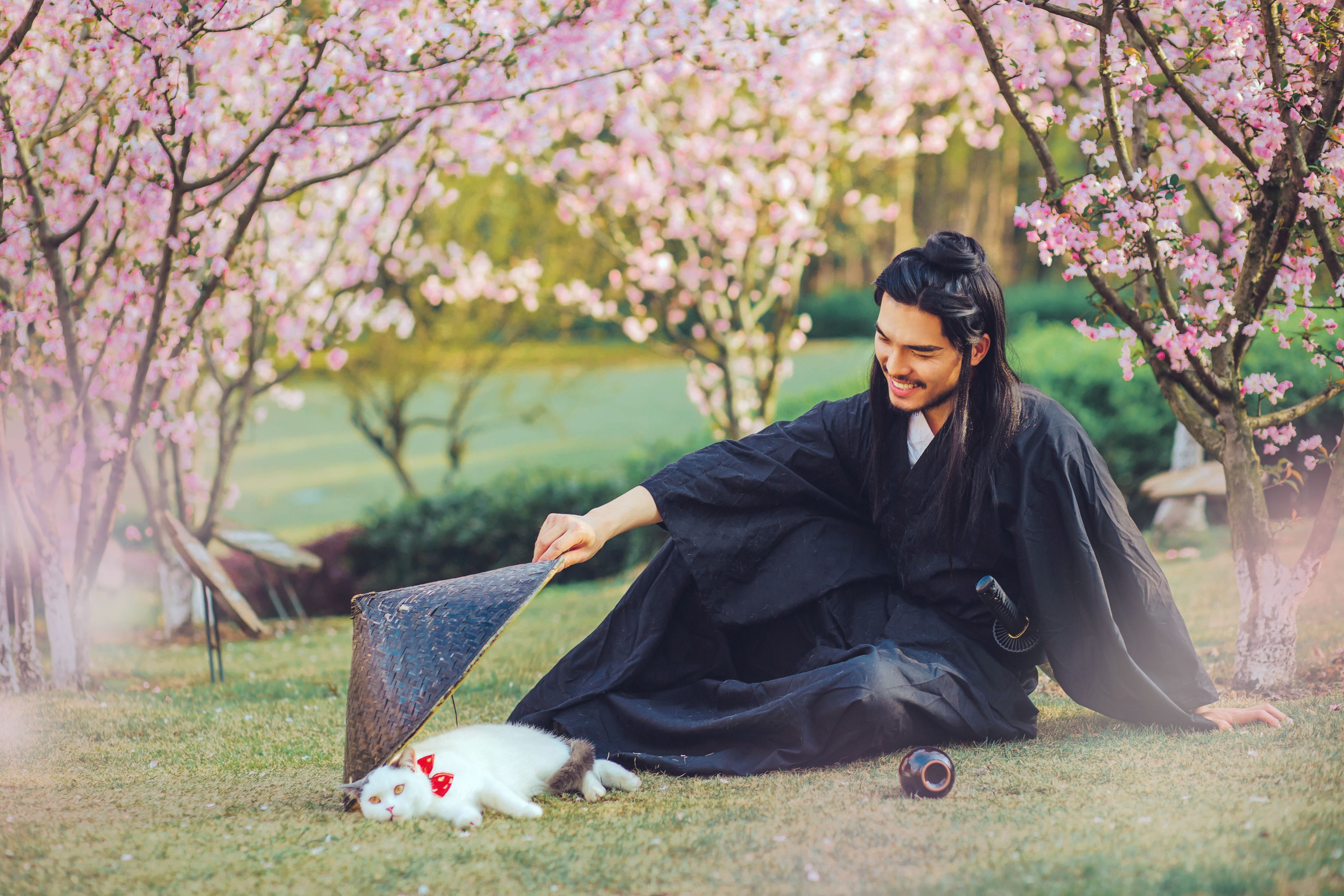 邱风 – 《猫侍》[31P] 插图4