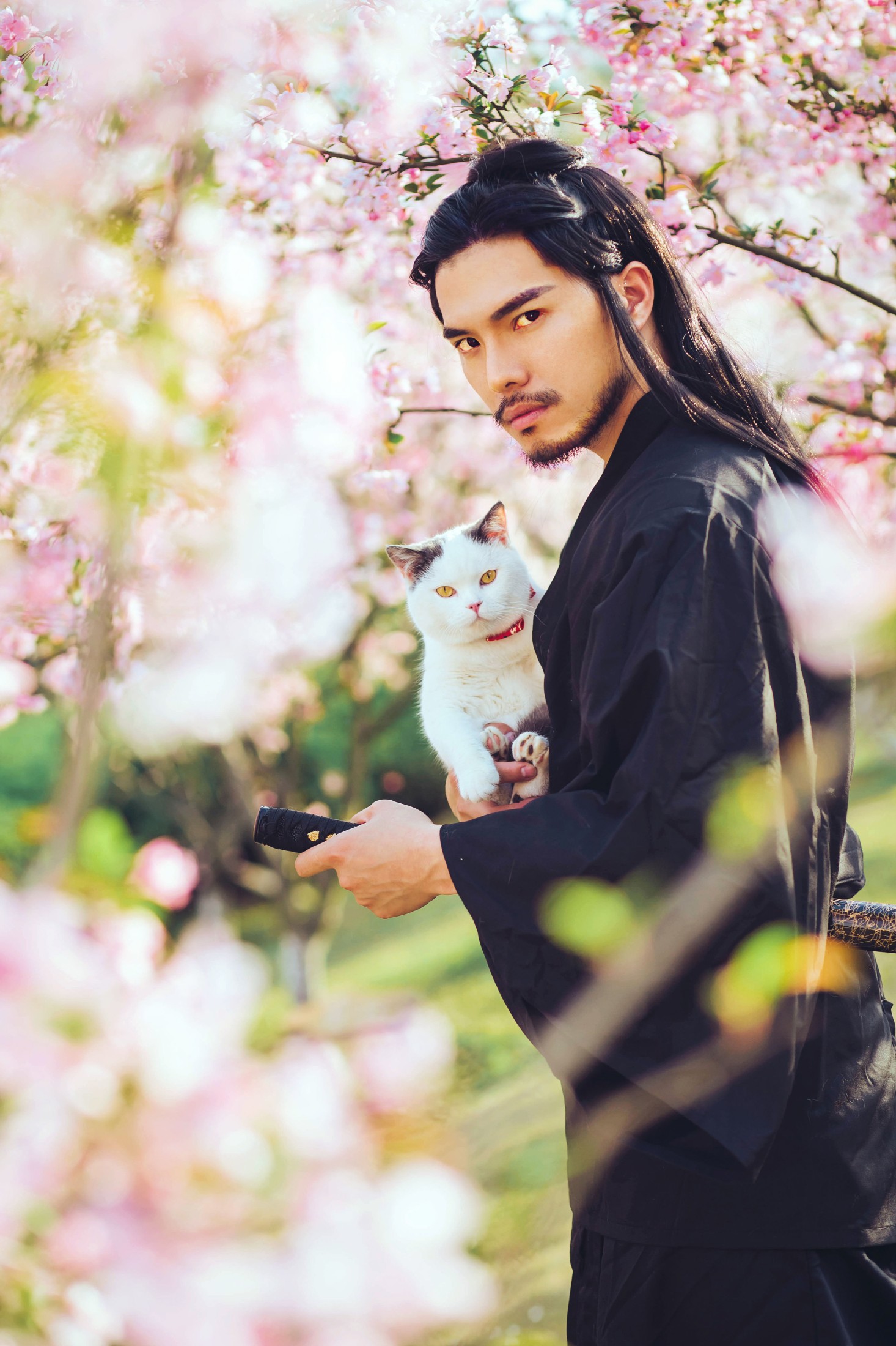 邱风 – 《猫侍》[31P] 插图3