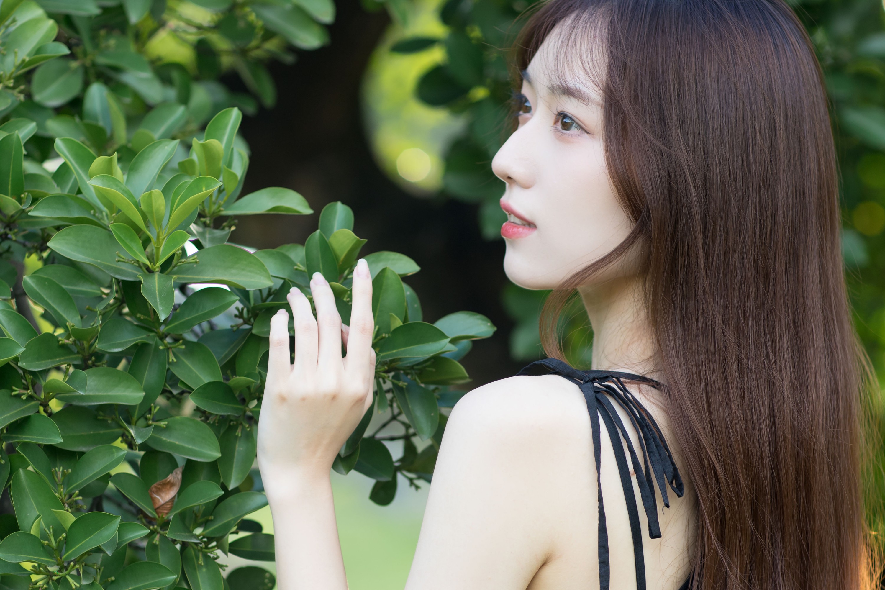 KK – 《微风起，心已动》[25P] 插图4