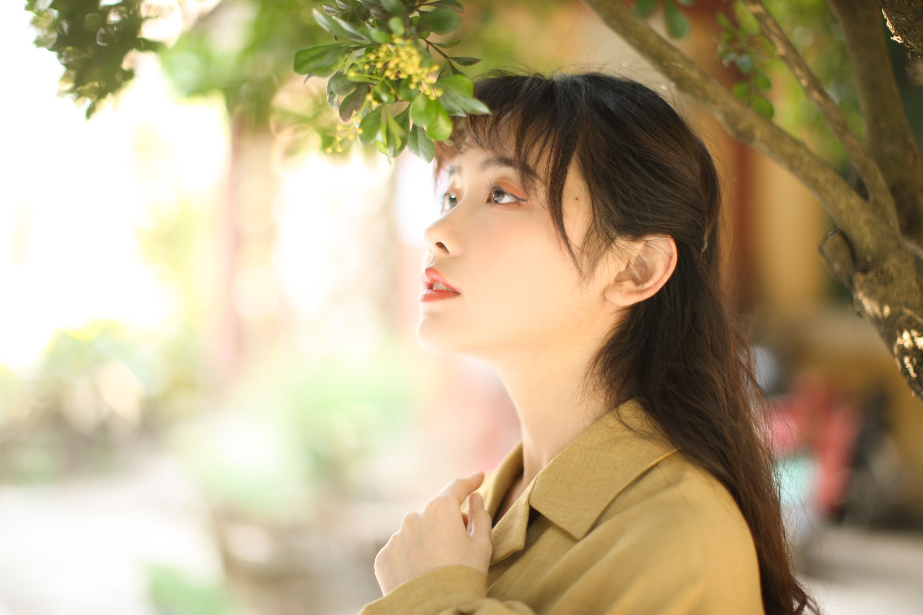 黄子卿_sunny – 《花样年华》[28P] 插图3