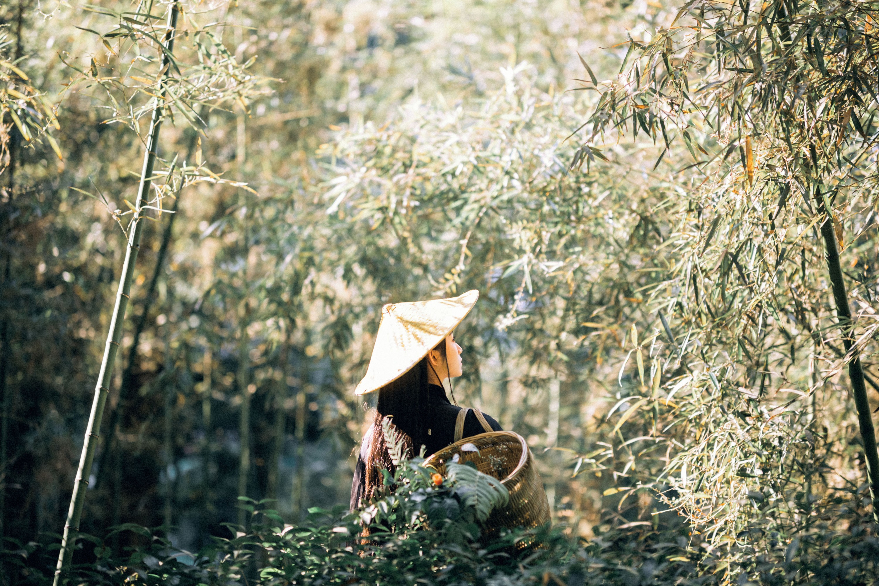 七屿呀_ – 《采药》[30P] 插图3