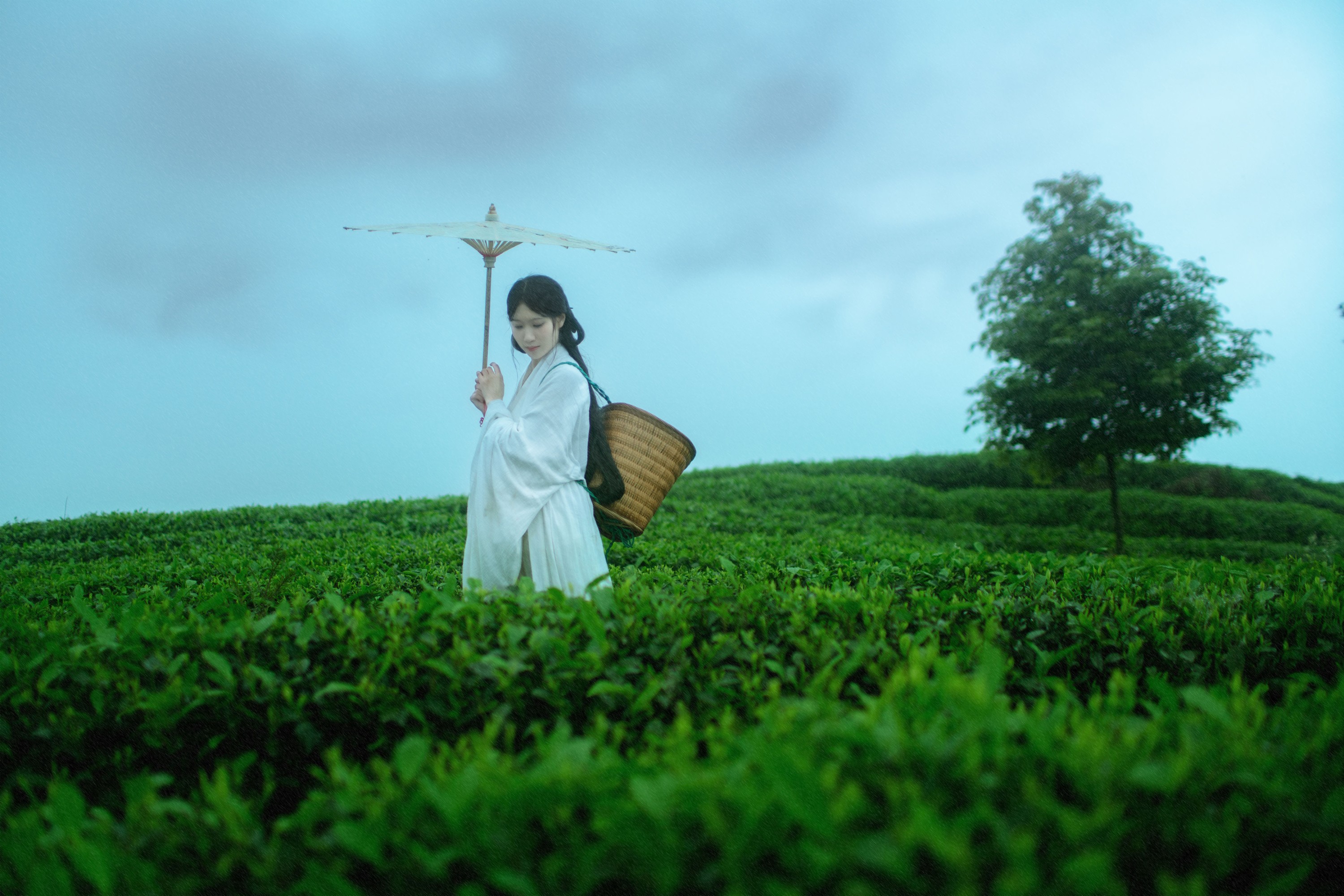 初茶 – 《空山灵雨》[27P] 插图5