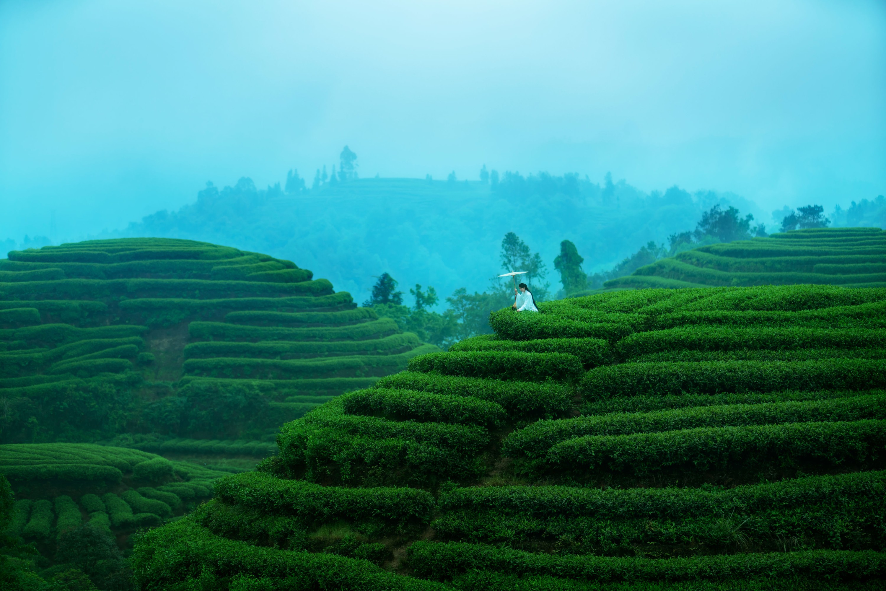 初茶 – 《空山灵雨》[27P] 插图3
