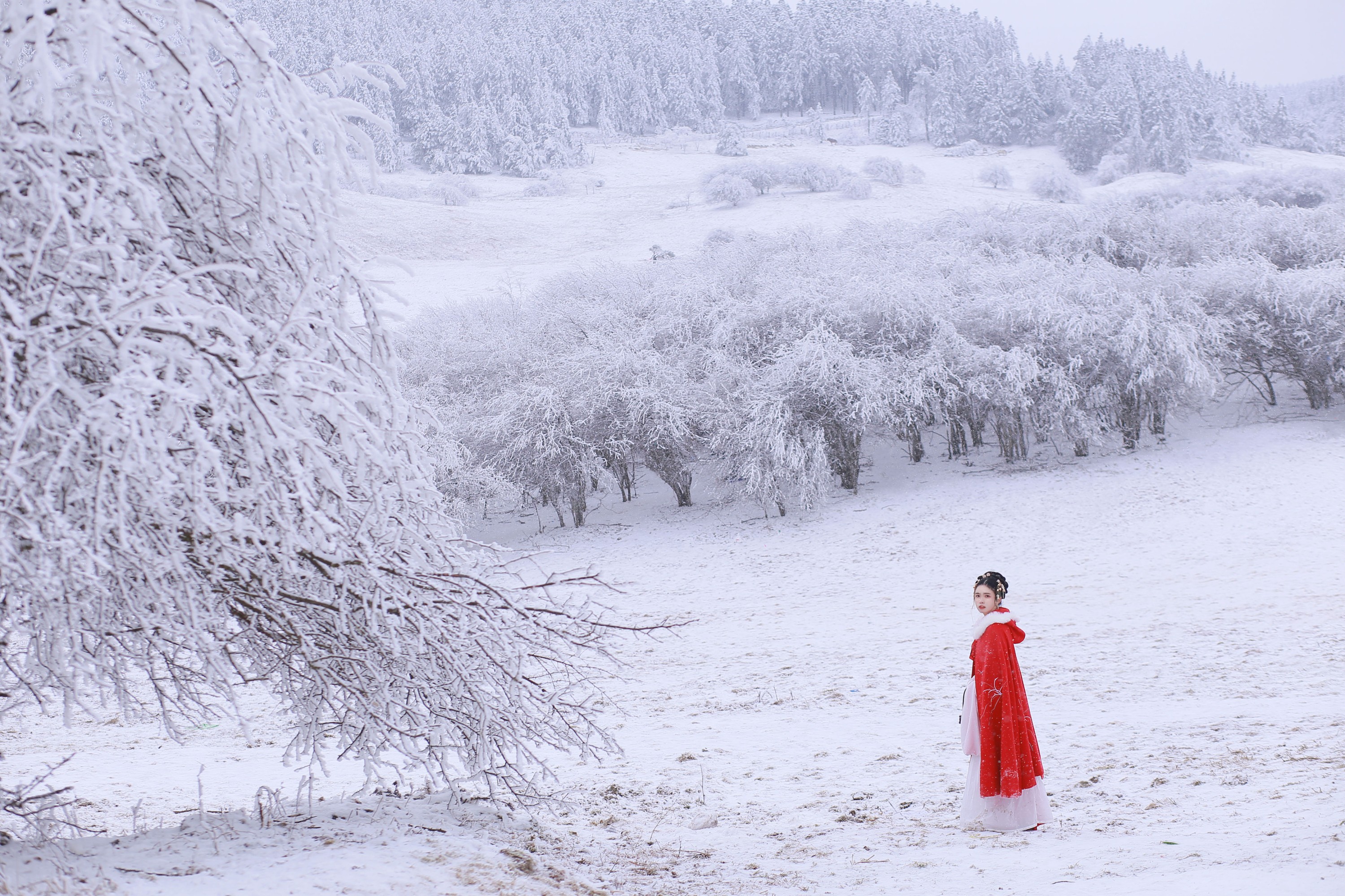 沂越 – 《大雪》[35P] 插图4