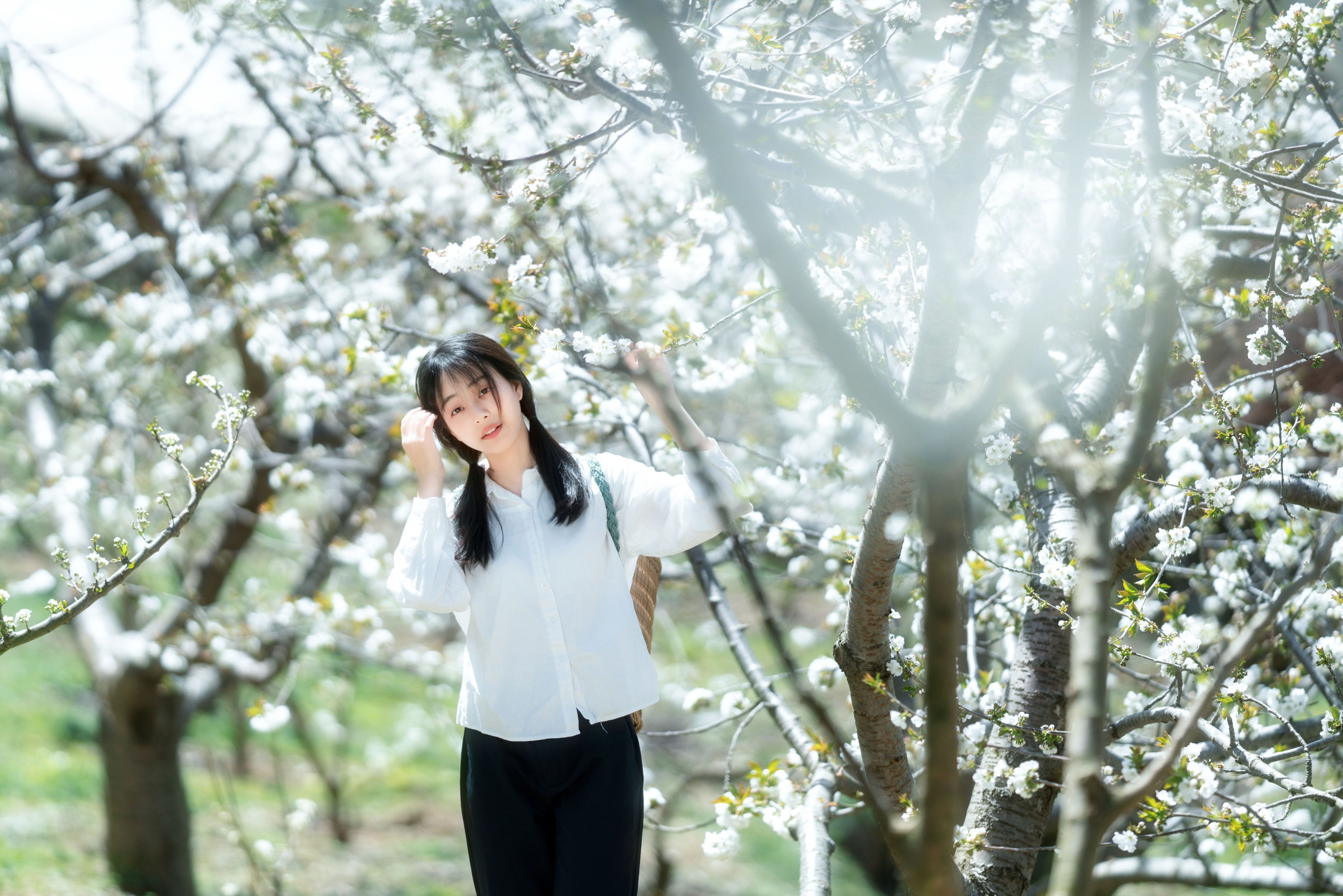欢欢 – 《故乡的小燕子》[36P] 插图3