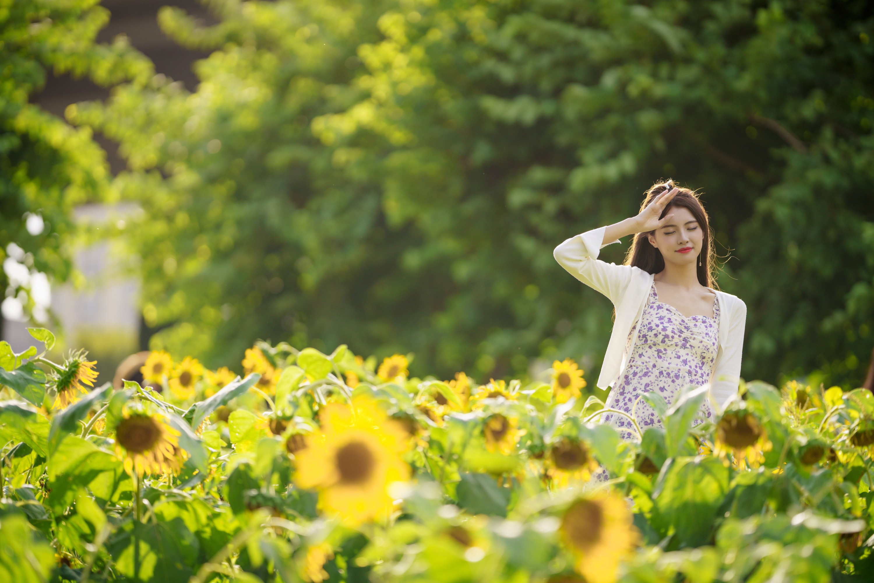 滕静 – 《向日葵花海》[31P] 插图3