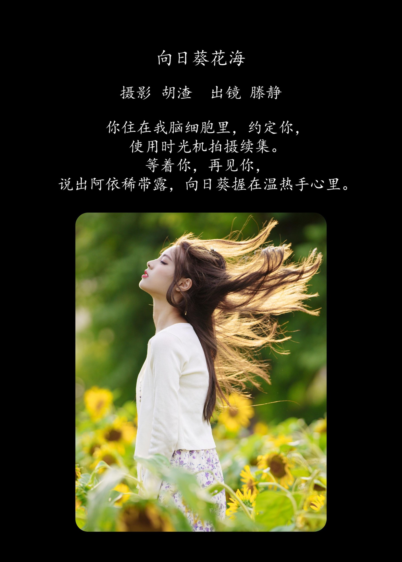 滕静 – 《向日葵花海》[31P] 插图2