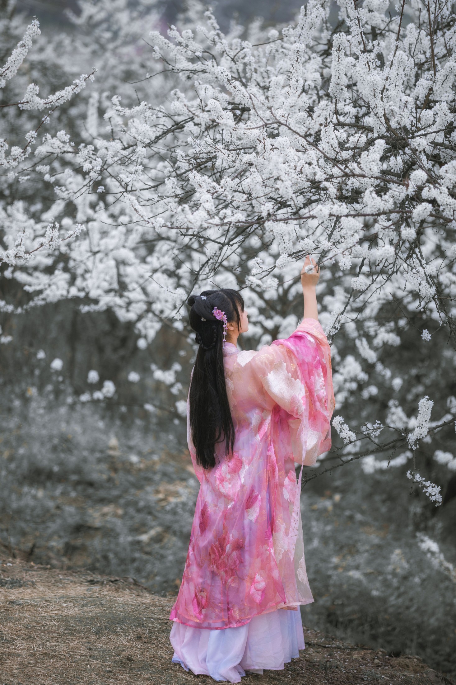 赵瑞洁EZ_ – 《杏花弦外雨》[23P] 插图4