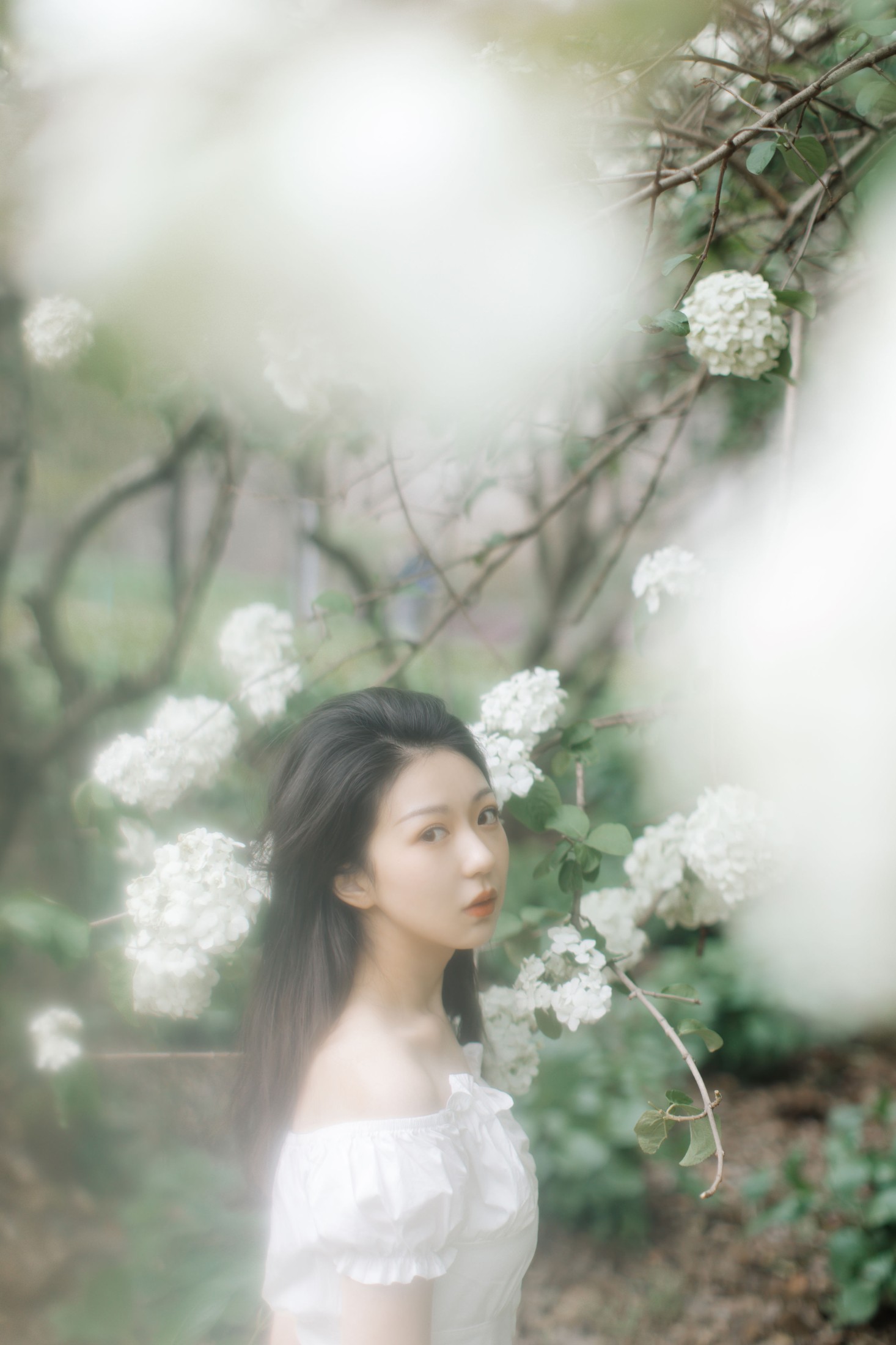 小汤姆 – 《绣球花开》[22P] 插图3