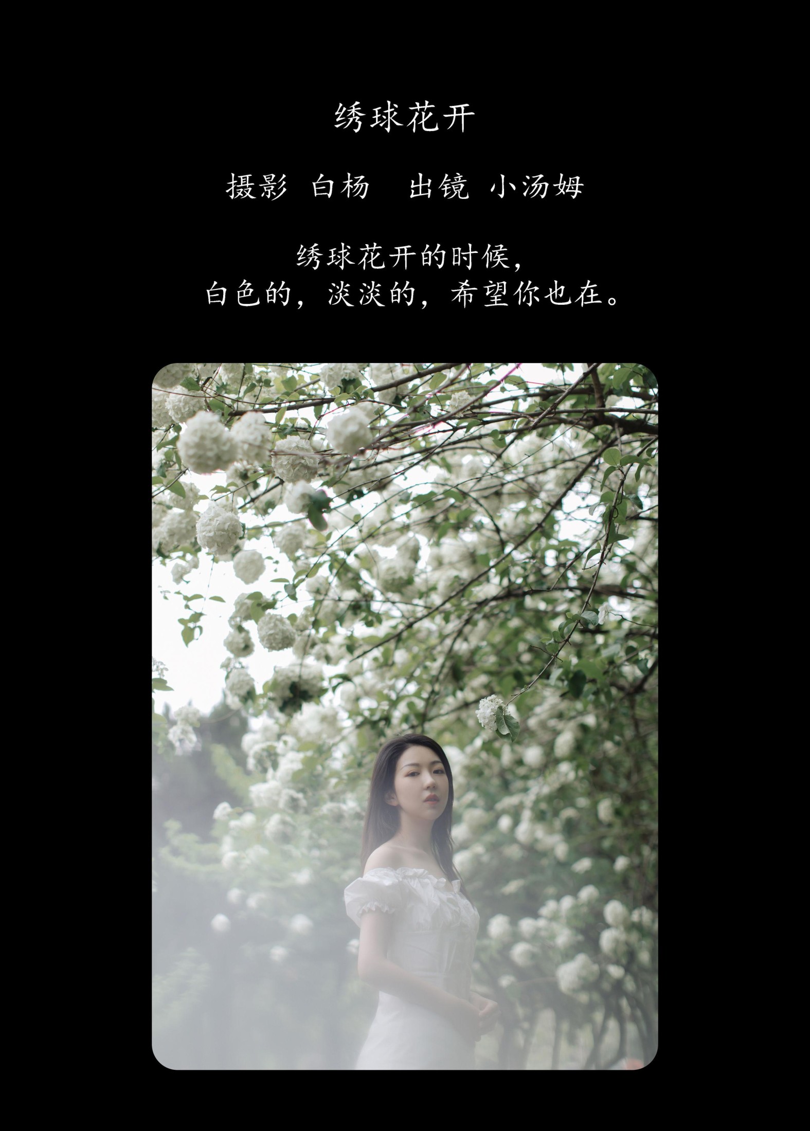 小汤姆 – 《绣球花开》[22P] 插图2