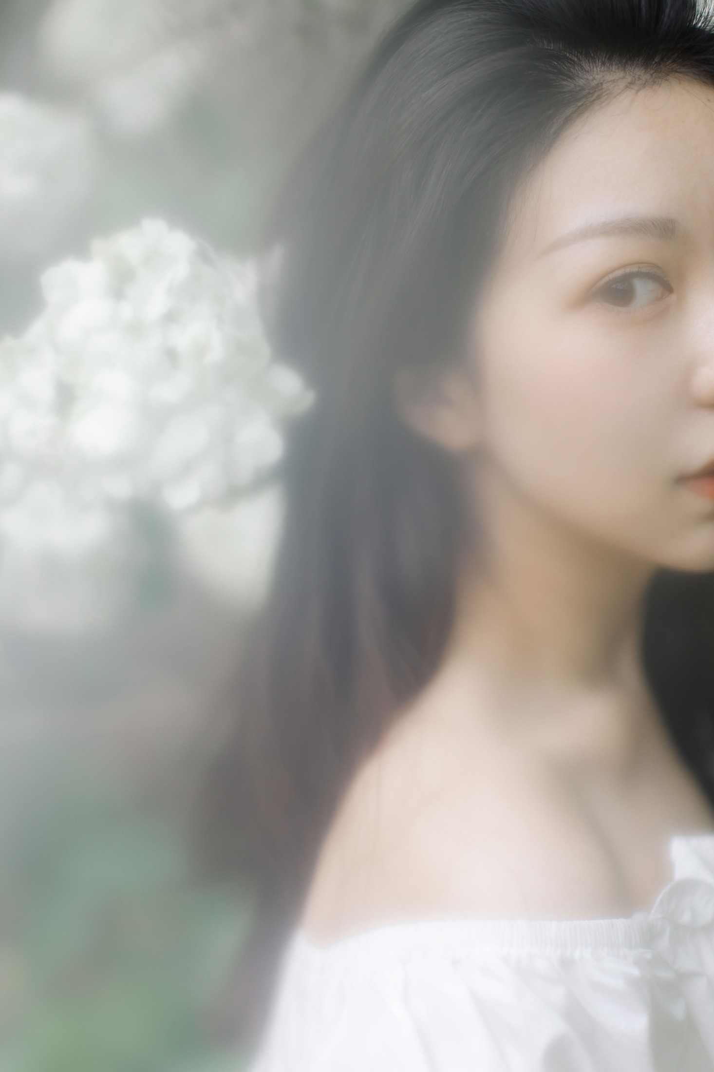 小汤姆 – 《绣球花开》[22P] 插图4
