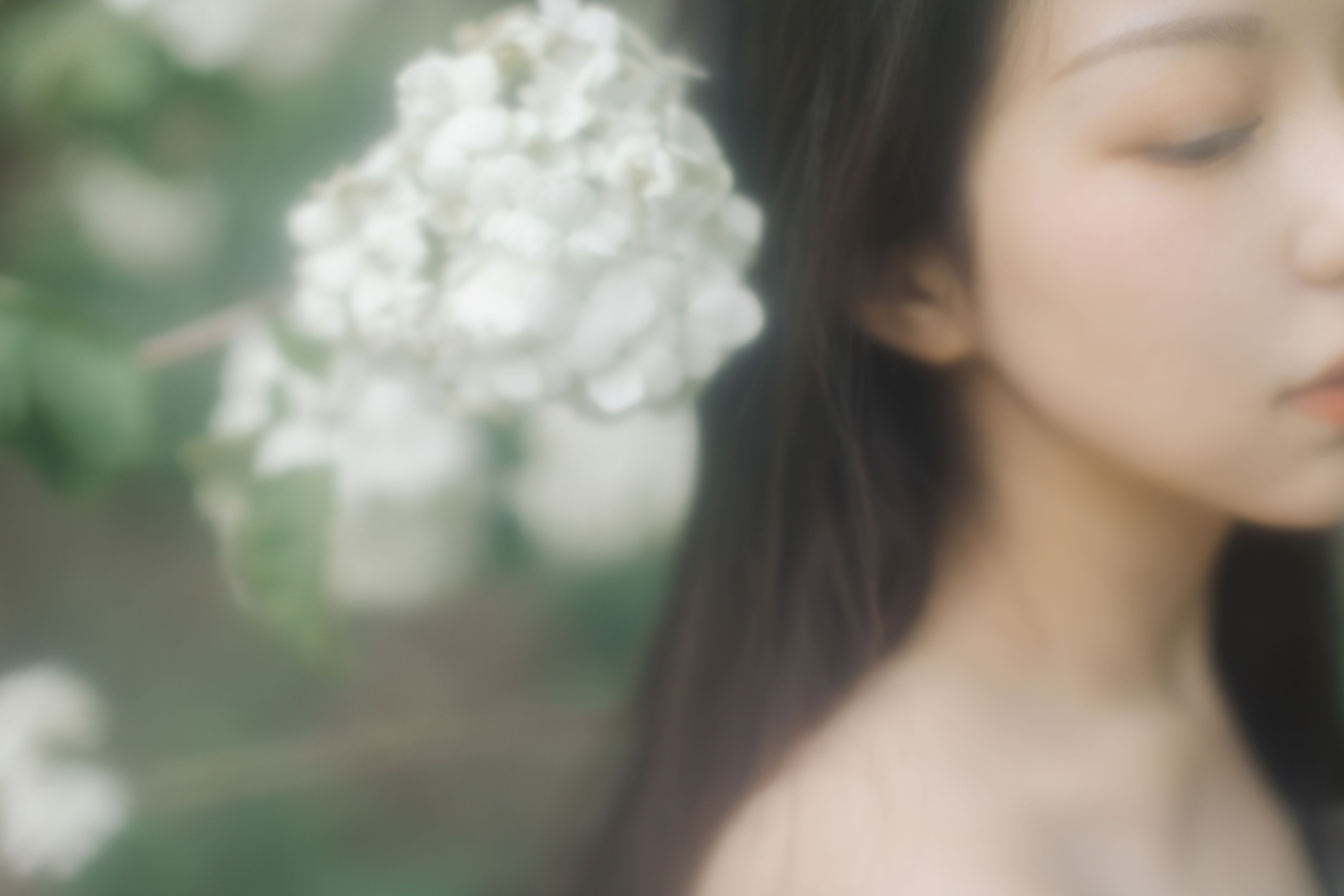 小汤姆 – 《绣球花开》[22P] 插图5