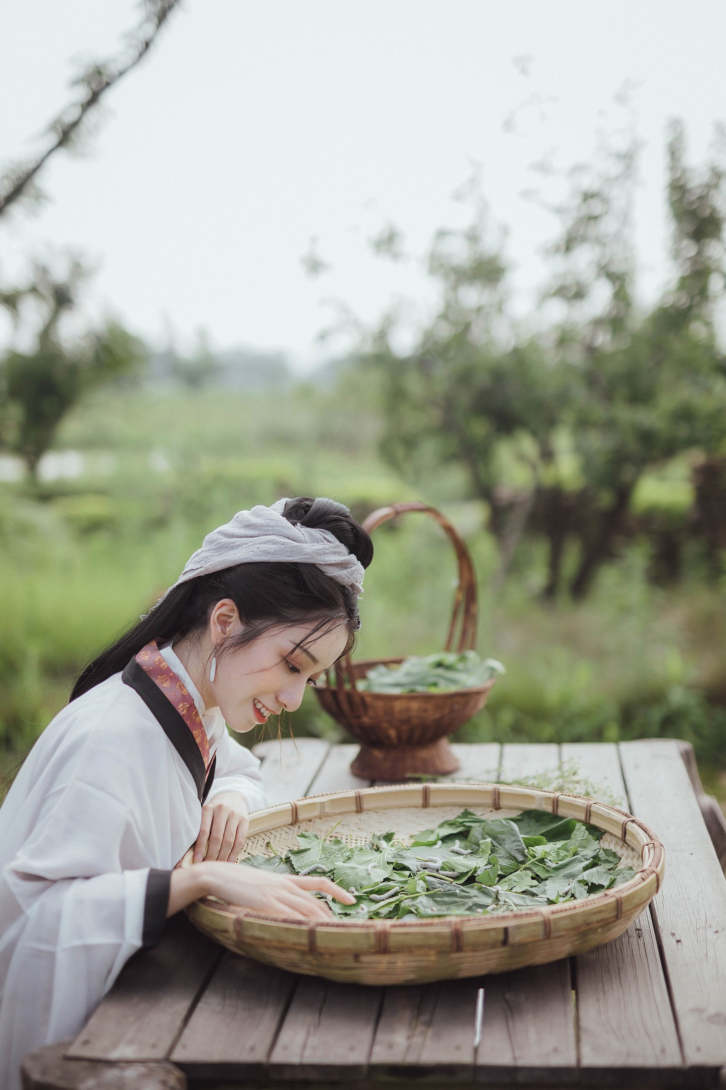 小清菡呀  – 《罗敷》[26P] 插图5