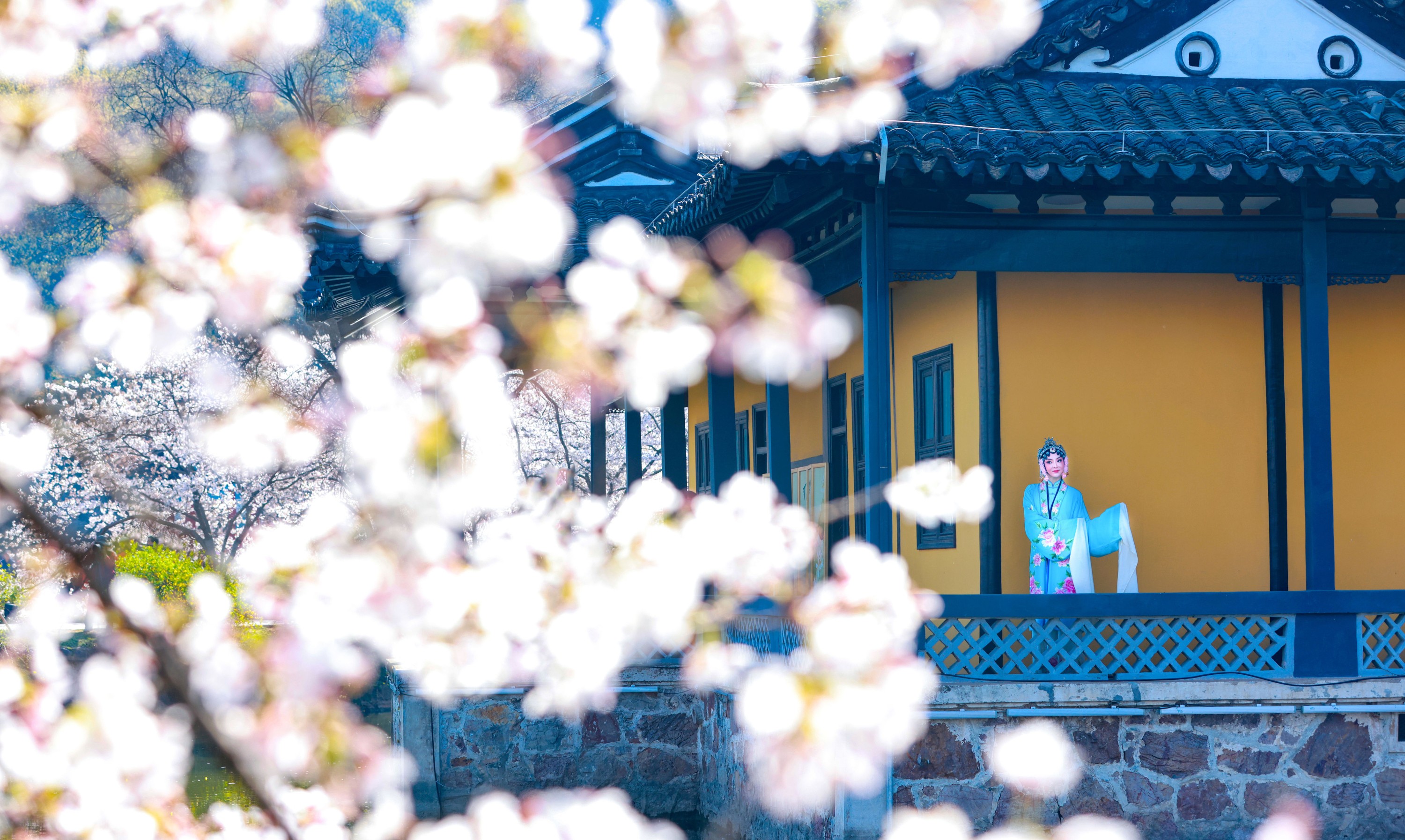 丹琼 – 《樱花有戏》[24P] 插图4