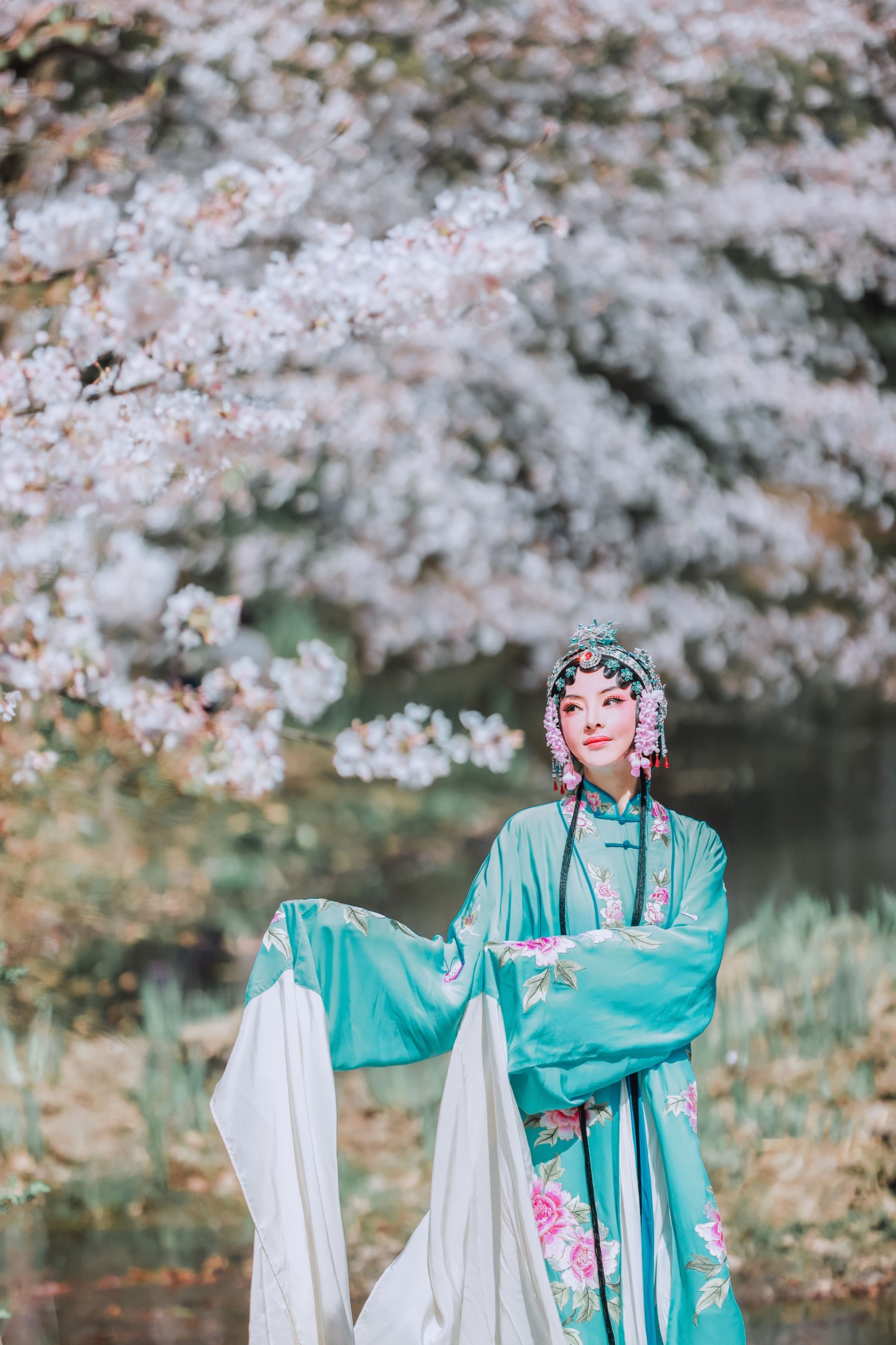 丹琼 – 《樱花有戏》[24P] 插图3