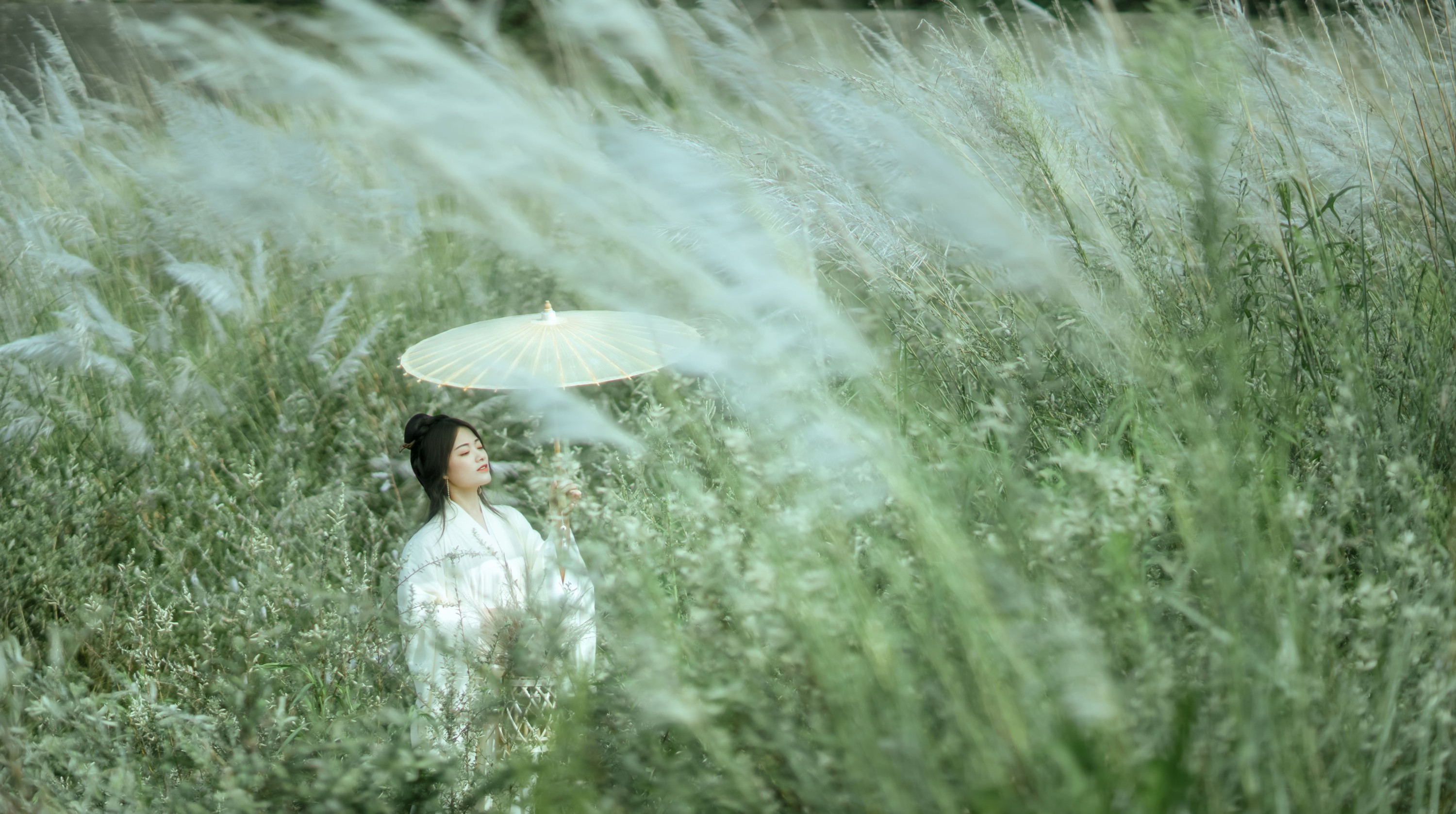 陌颜 – 《芦花漫》[30P] 插图4