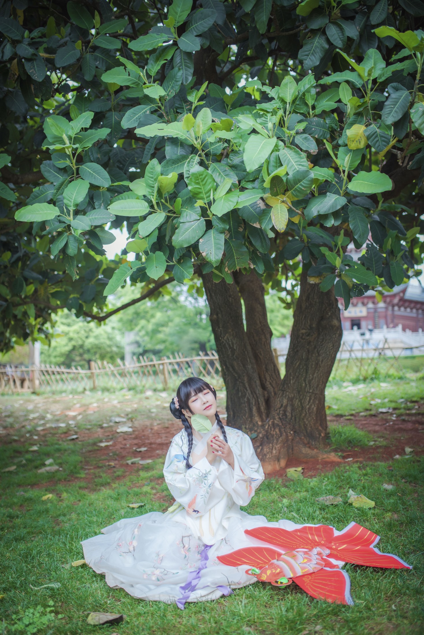 澪mio兔兔纸 – 《橘子》[23P] 插图4