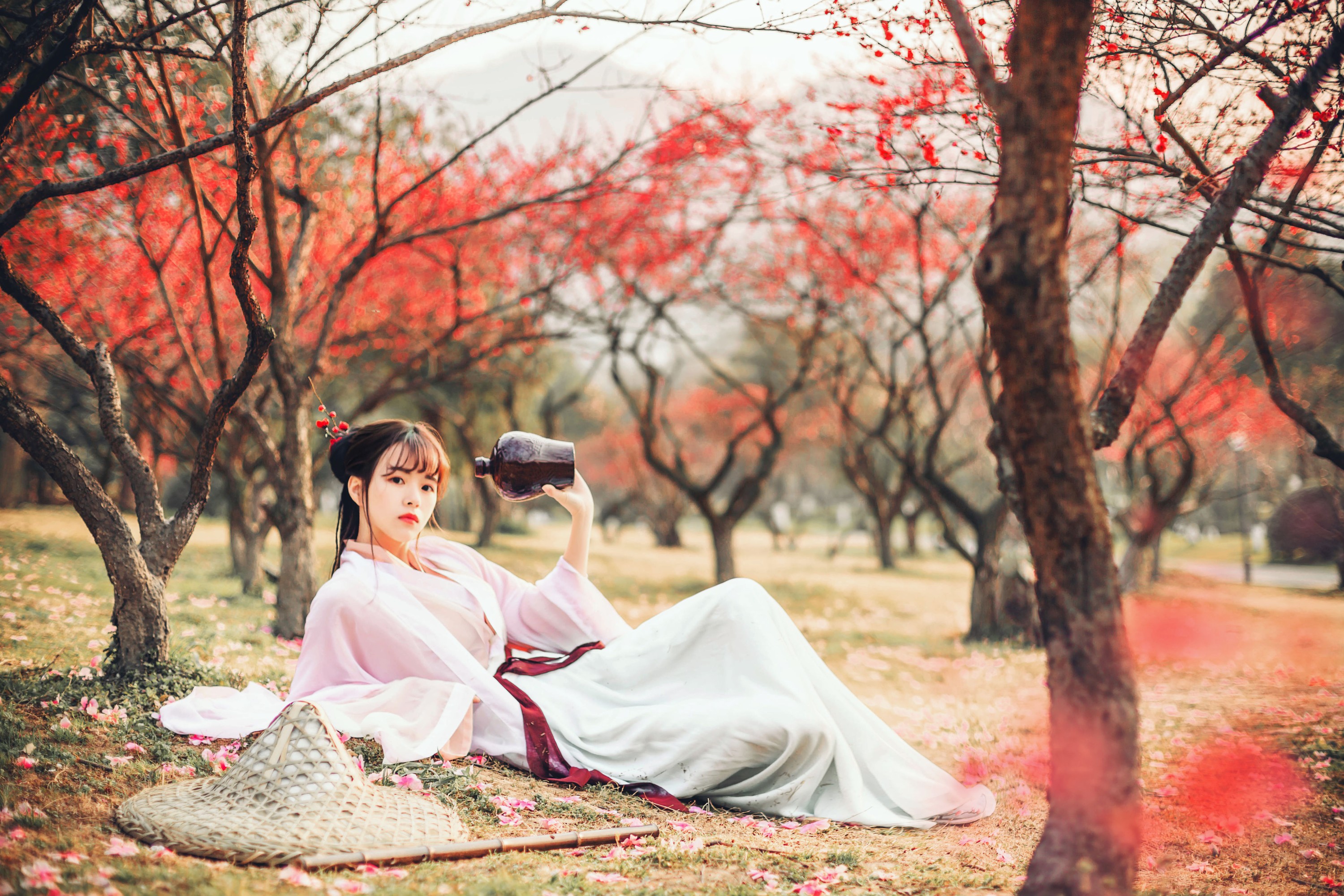 范大二 – 《醉洛阳》[21P] 插图4