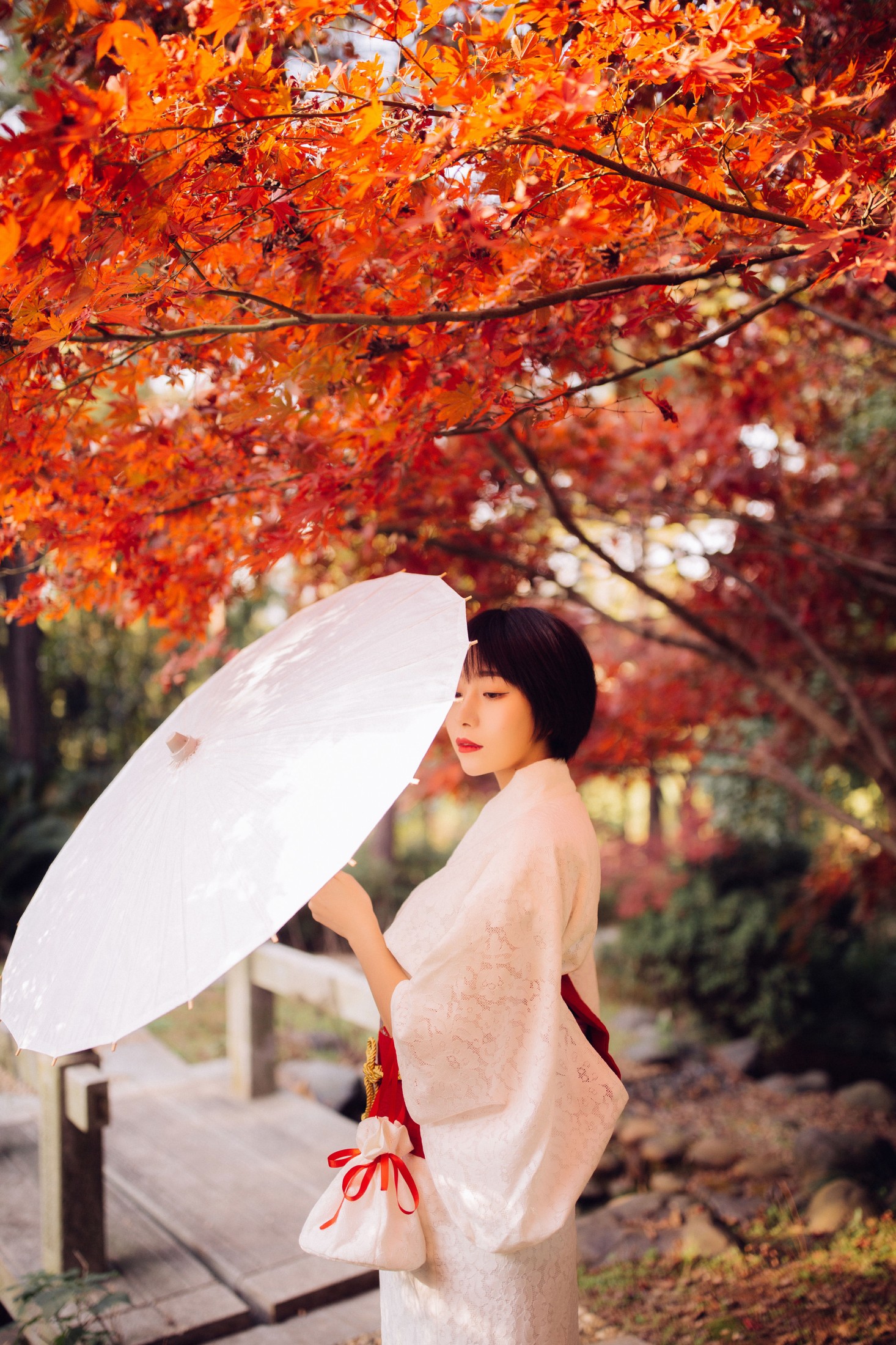 君洳 – 《枫》[47P] 插图4