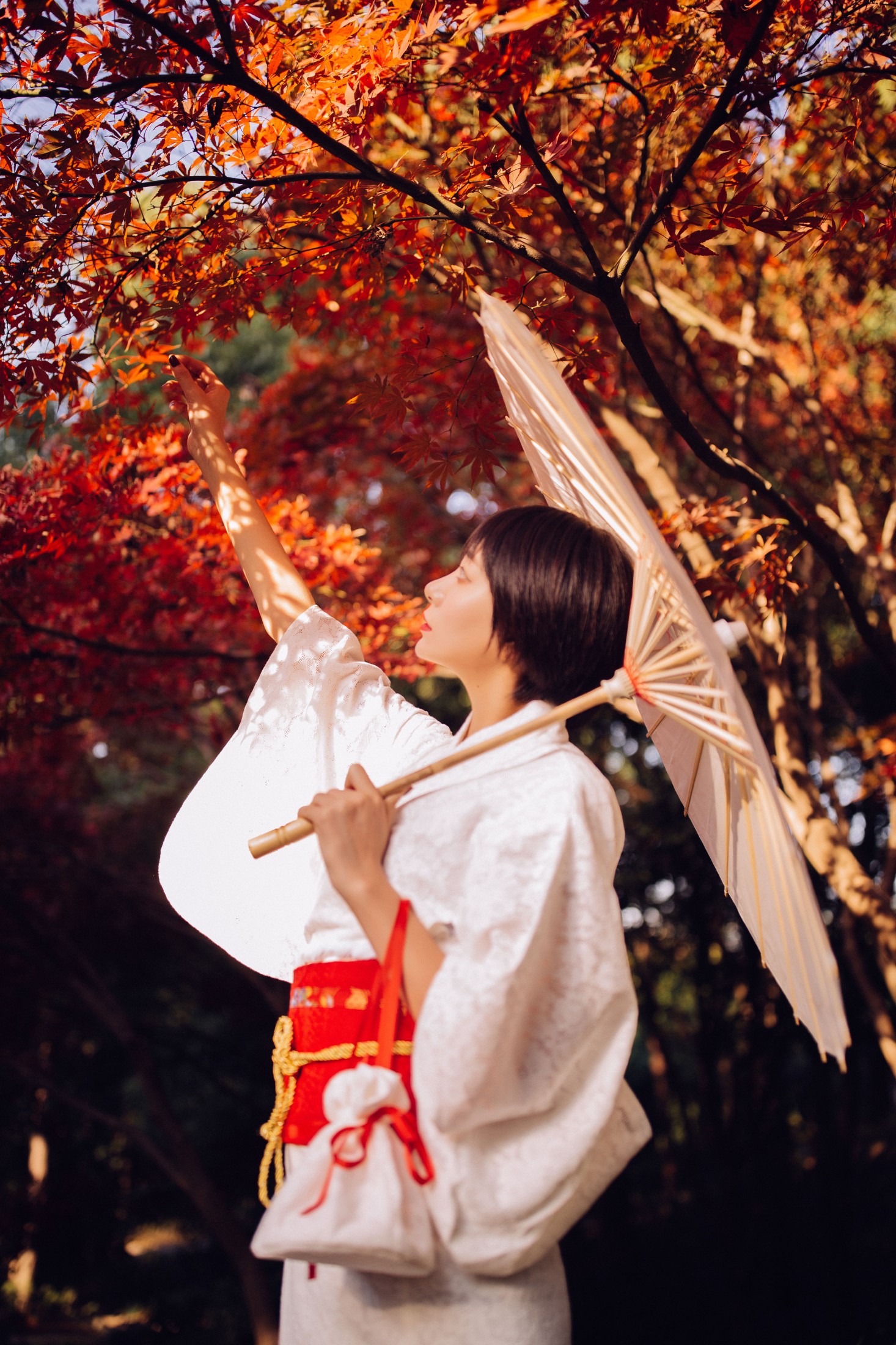 君洳 – 《枫》[47P] 插图5