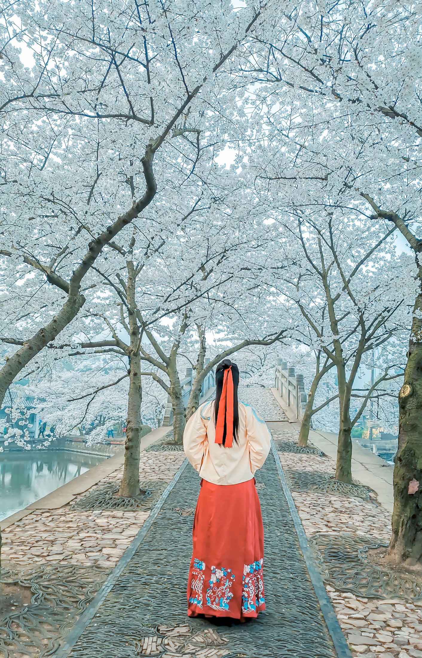 阿紫 – 《等一场春暖 待一树花开》[20P] 插图3