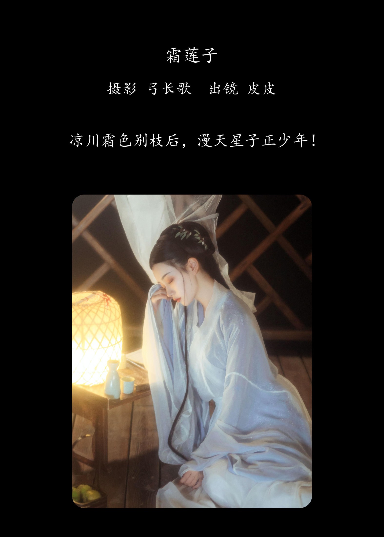 皮皮 – 《霜莲子》[22P] 插图2