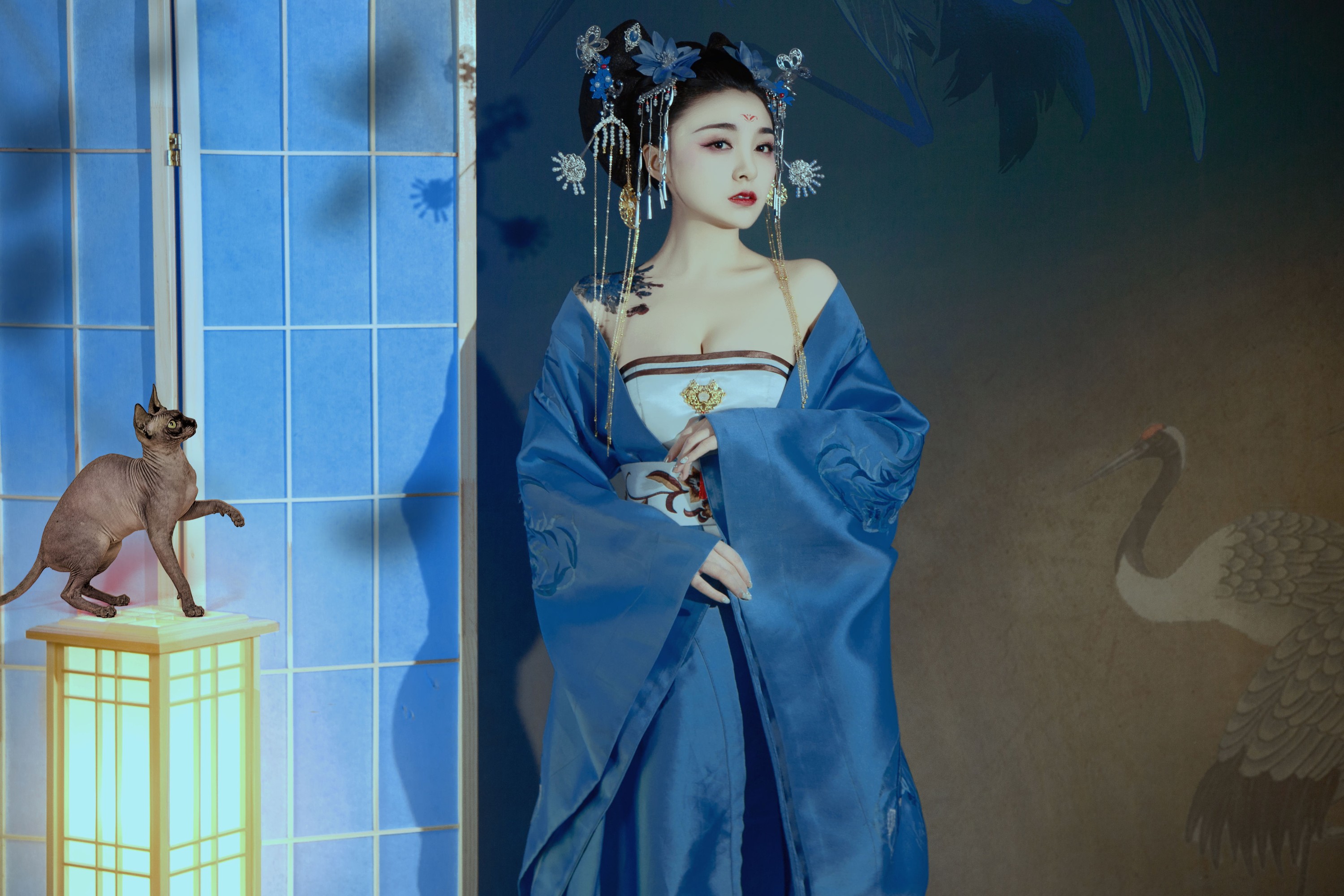 倩宝 – 《夜笙鹤2》[22P] 插图4