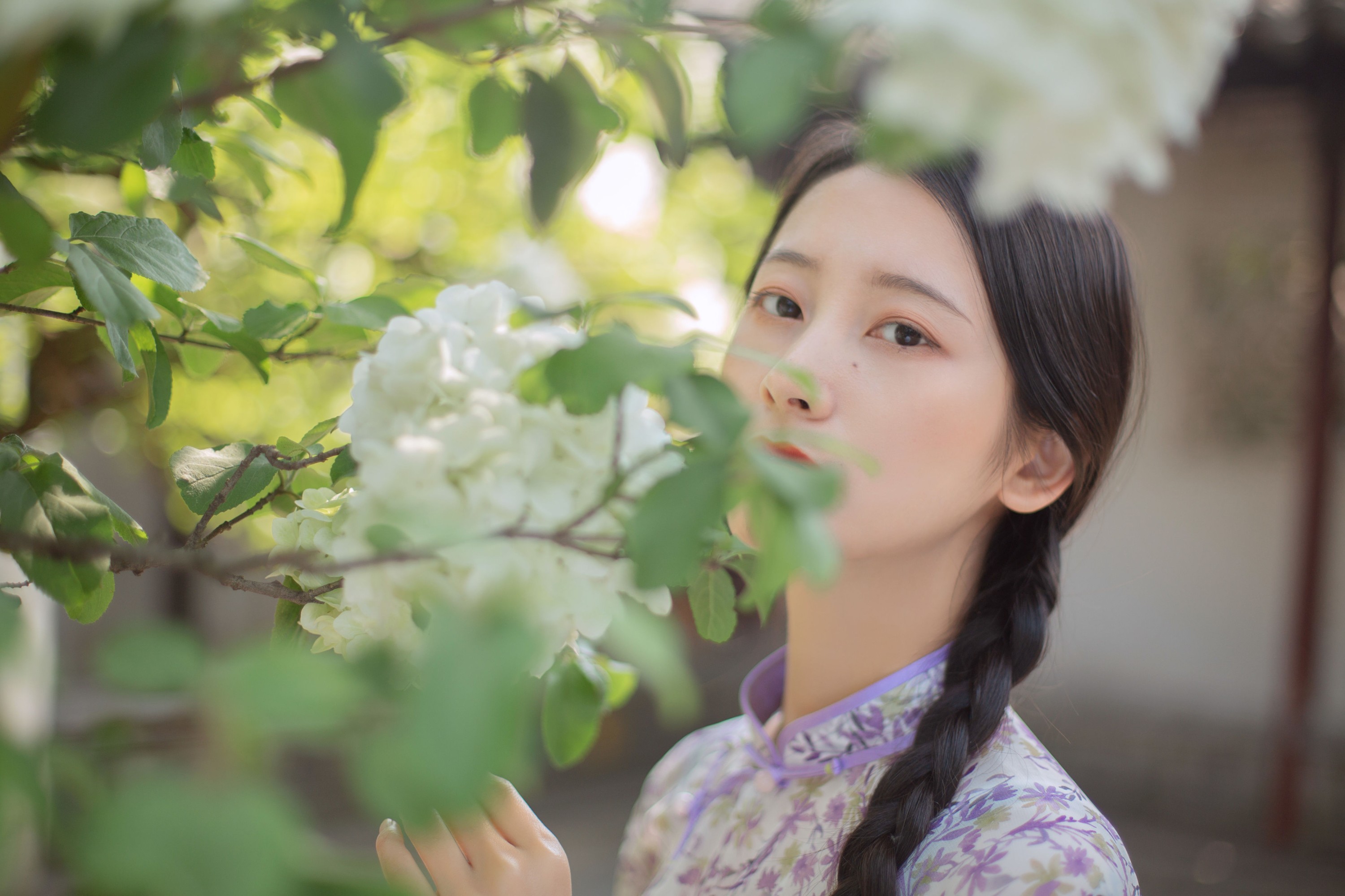 五月的三花猫 – 《穆穆清风至》[29P] 插图3