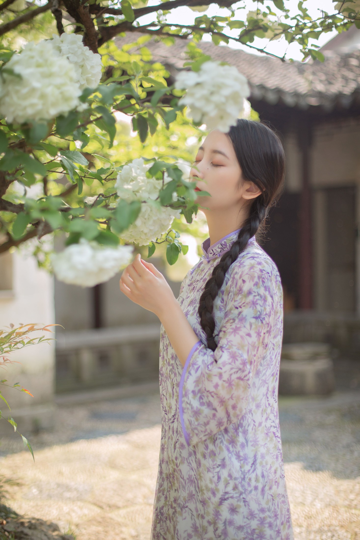 五月的三花猫 – 《穆穆清风至》[29P] 插图4