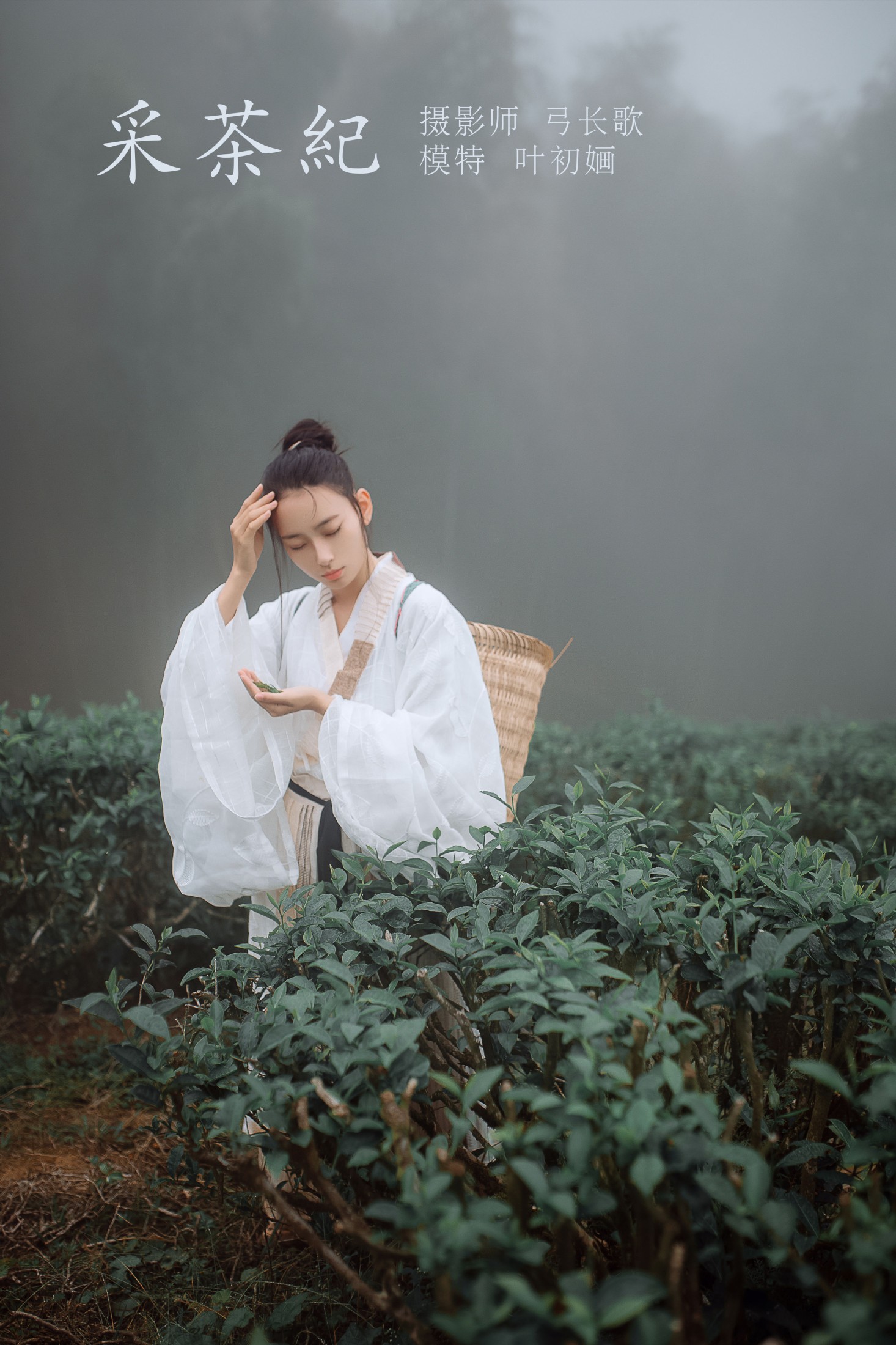 叶初婳 – 《采茶纪》[23P] 插图1