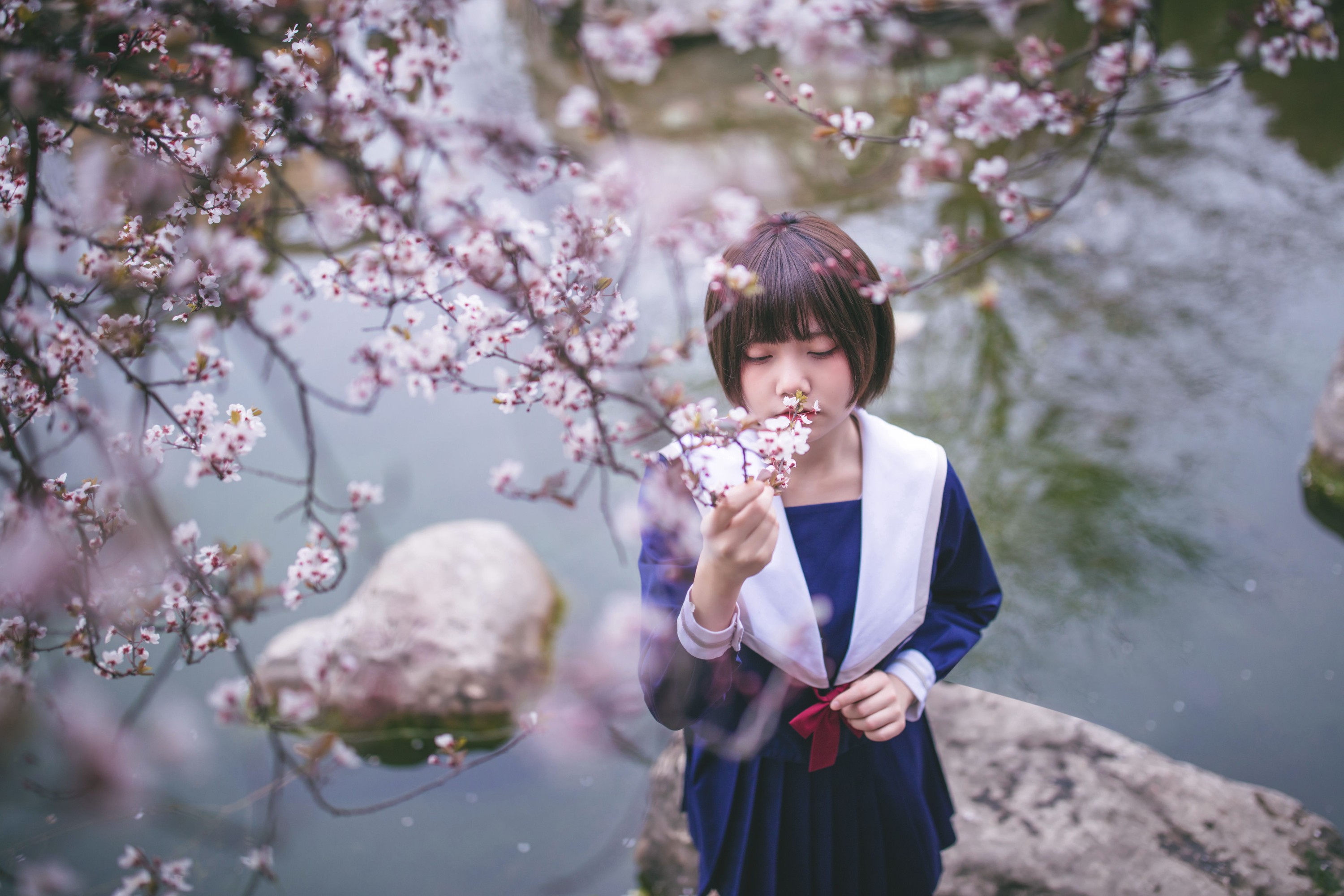 灰猫 – 《樱花树下》[20P] 插图3