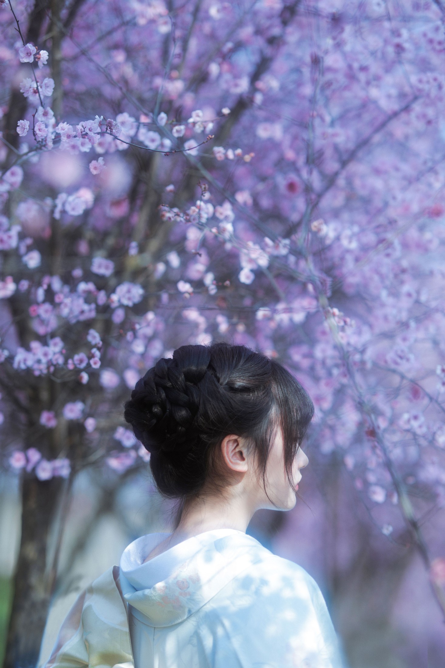 小若 – 《梦中之花》[28P] 插图5