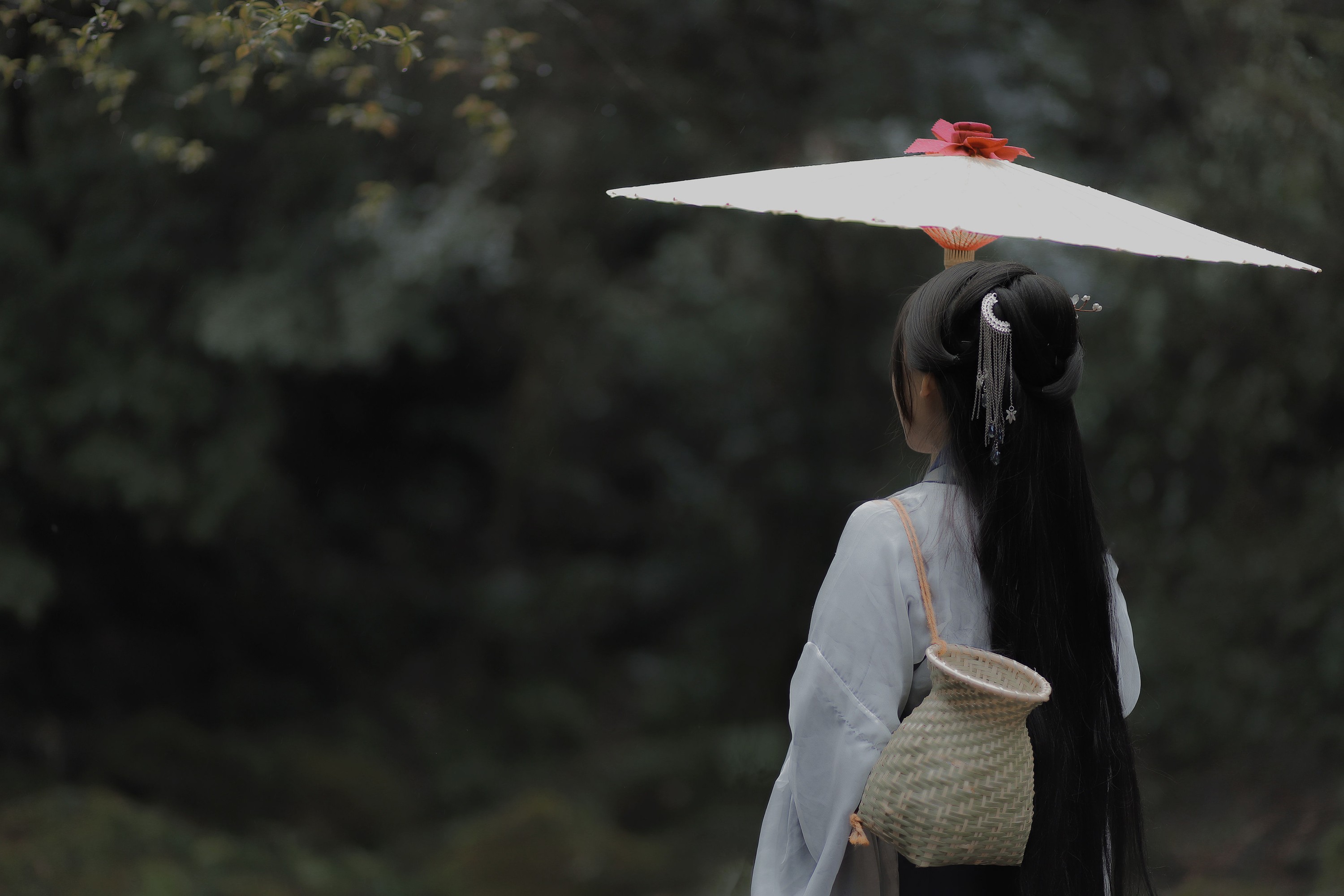 劉忄乂  – 《采药女》[22P] 插图4