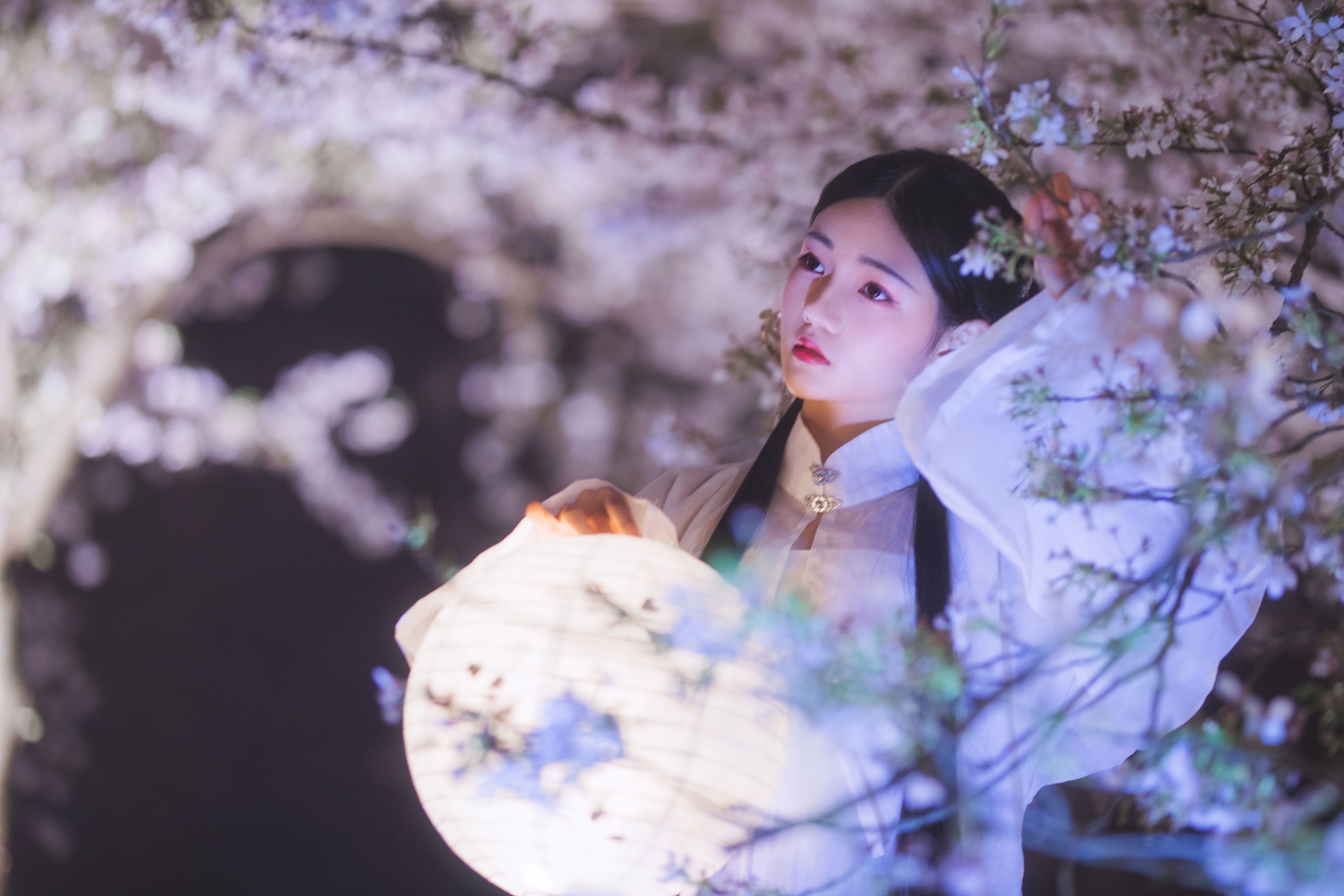 吴莹琨琨 – 《梦遣看花人》[22P] 插图4
