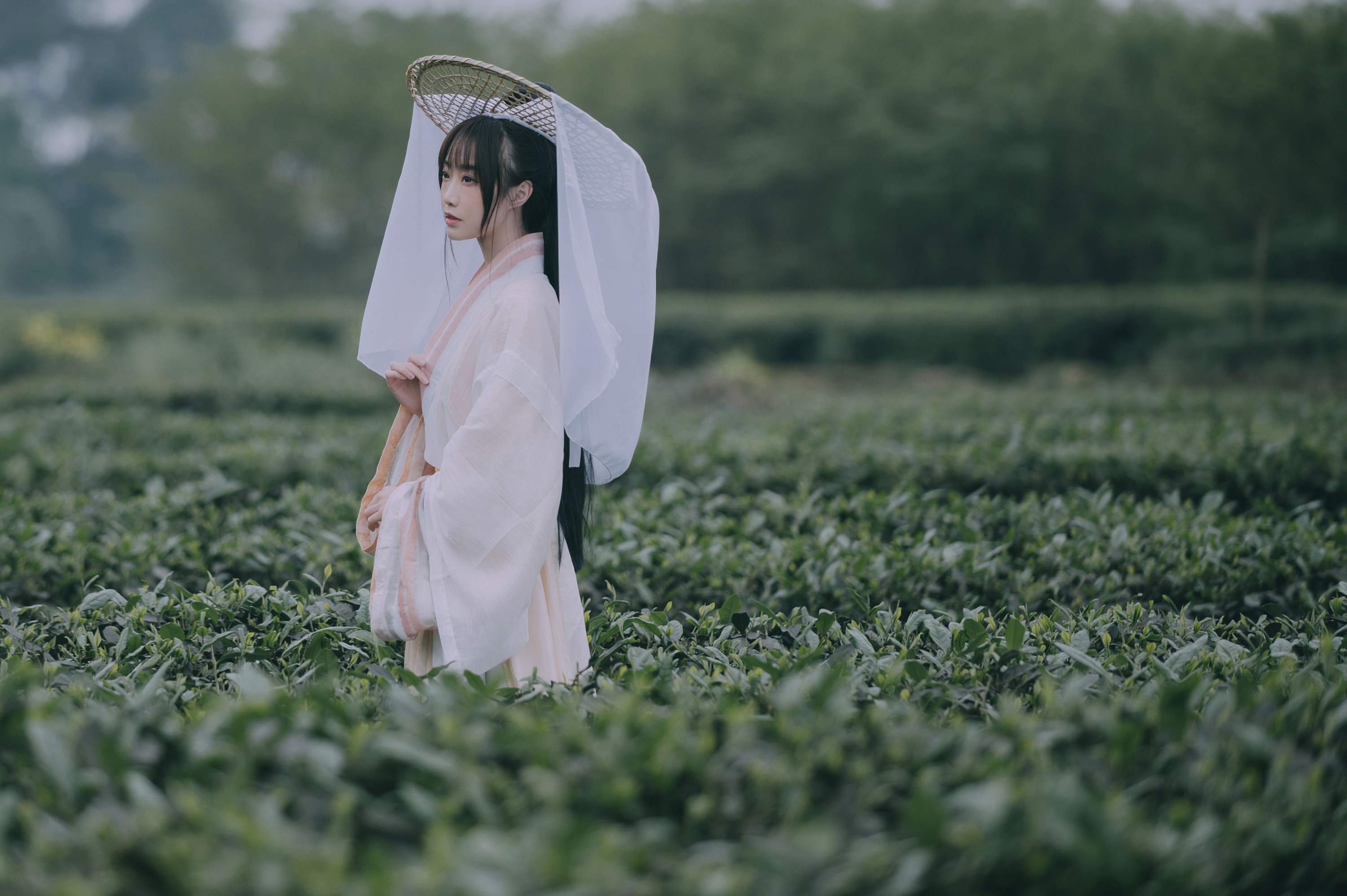 蹭饭 – 《采茶东篱下》[20P] 插图4