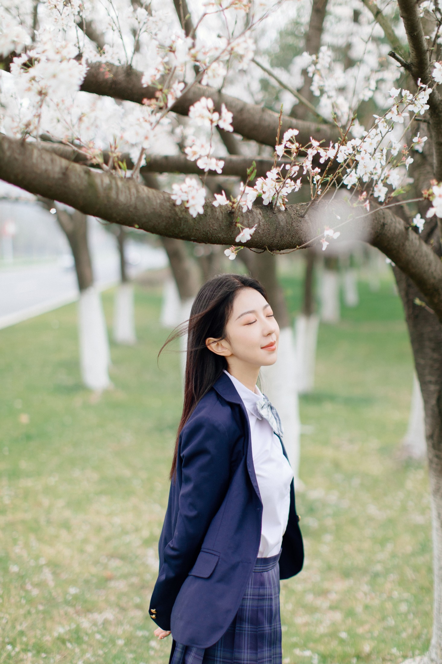 小汤姆 – 《樱花时分》[27P] 插图3