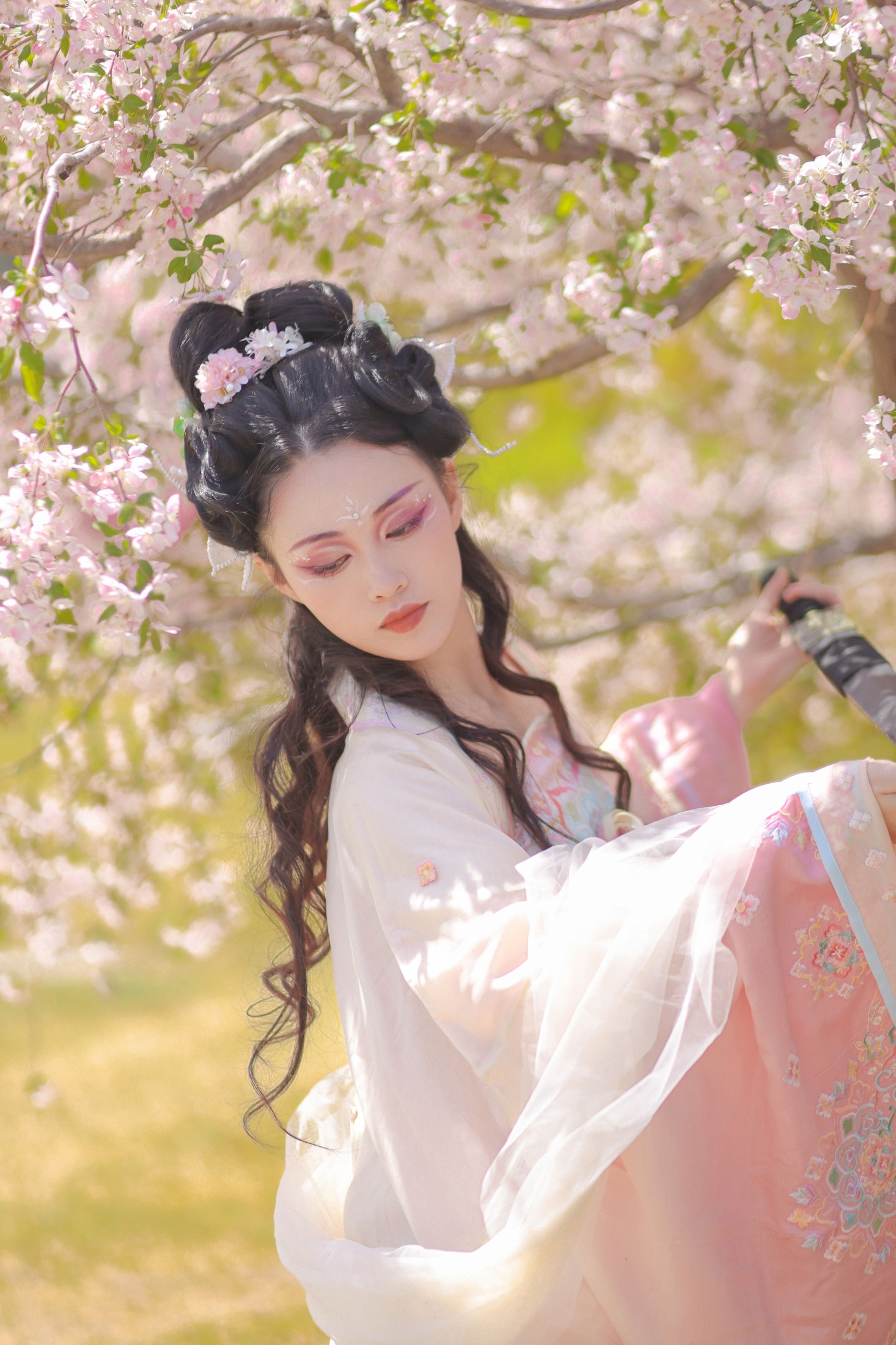 青霜鹅 – 《海棠国风插画》[22P] 插图5