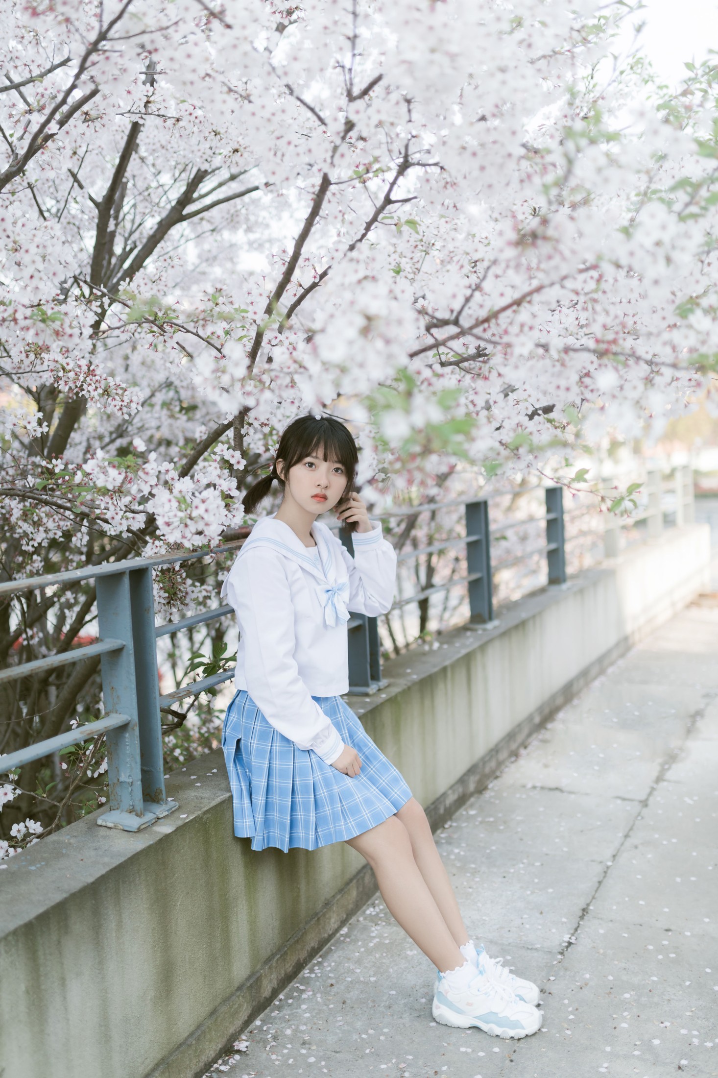 Haruka月岛雯 – 《樱の雪》[24P] 插图5