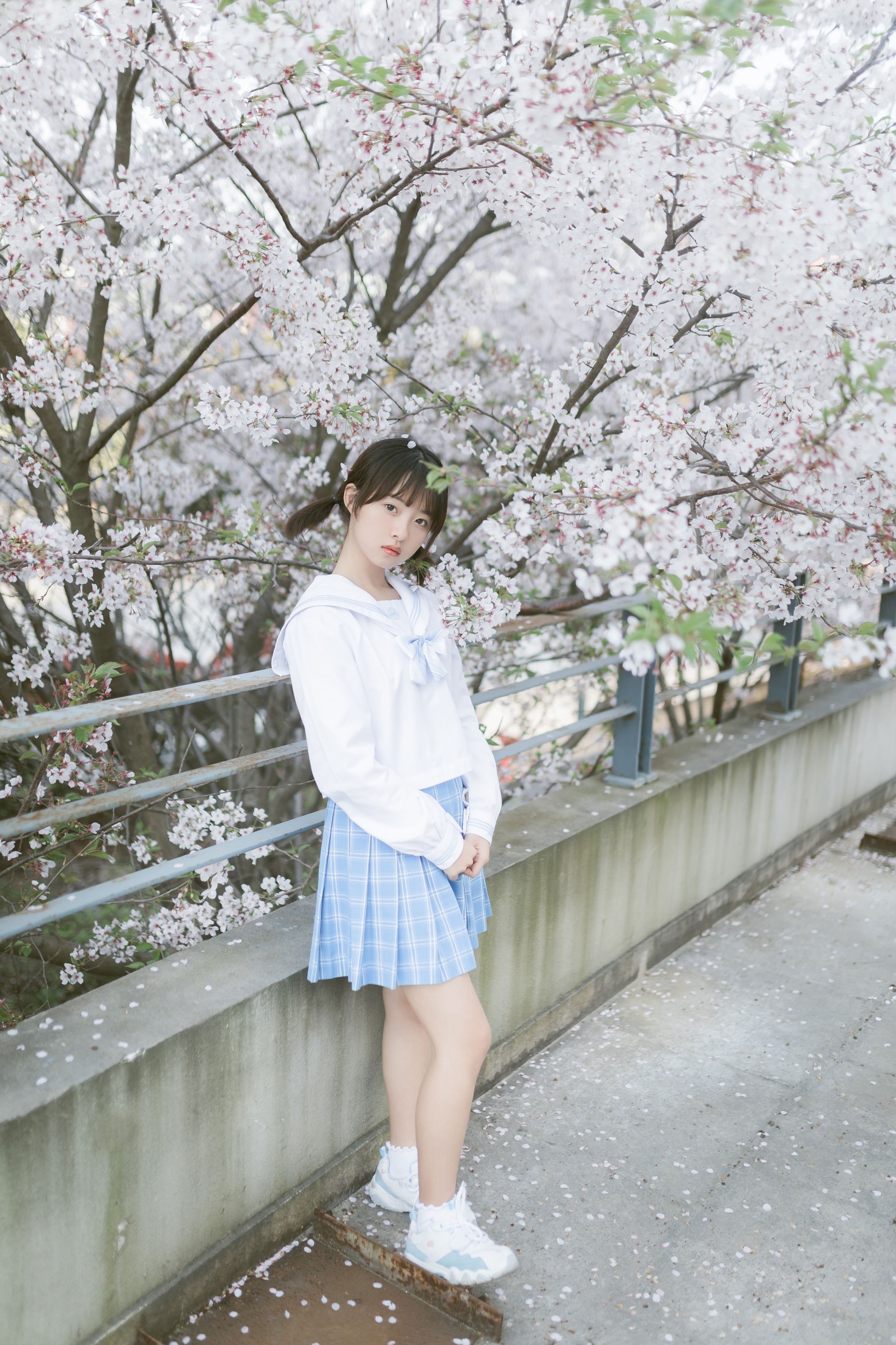 Haruka月岛雯 – 《樱の雪》[24P] 插图4