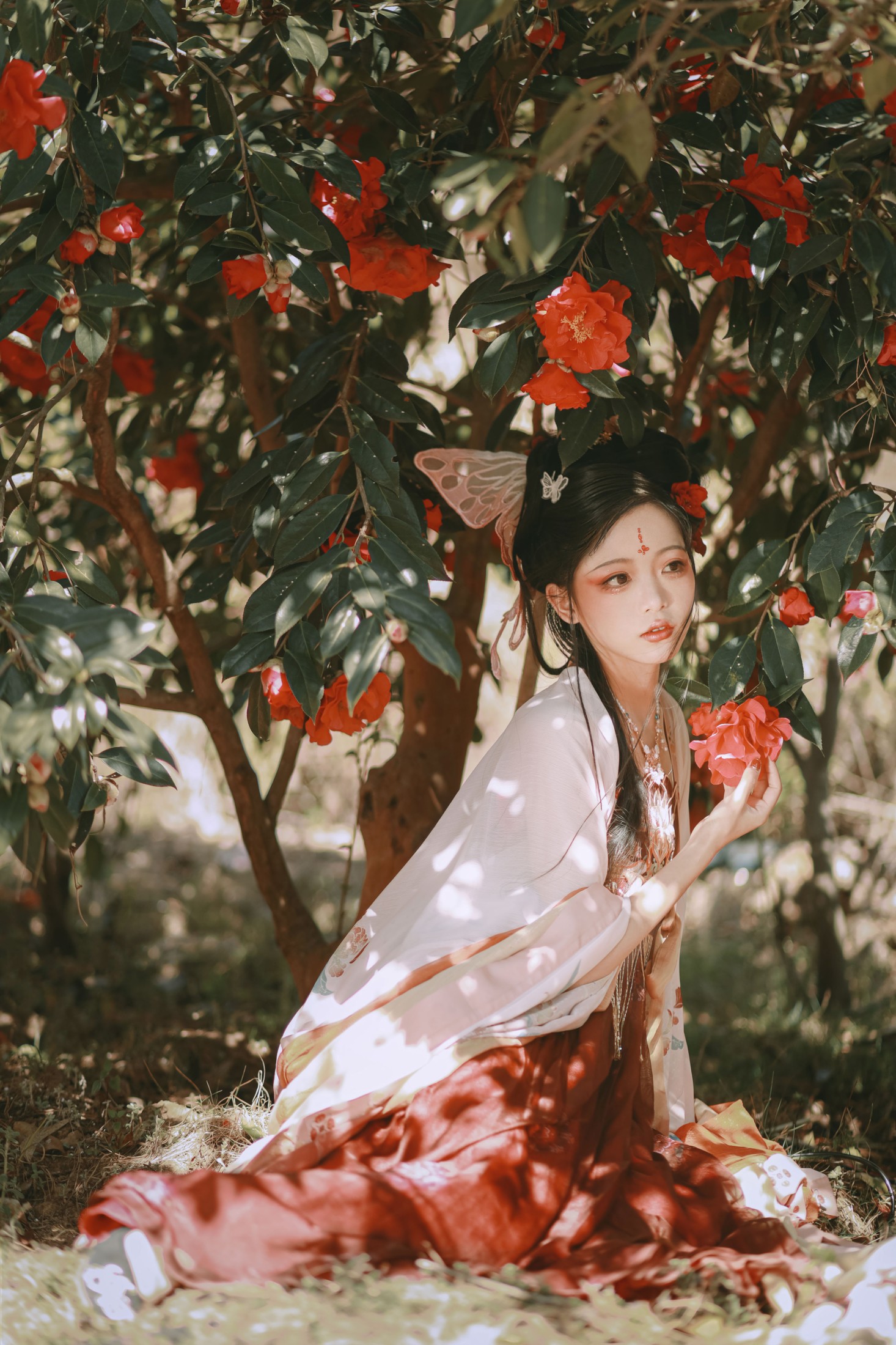 芍药_Y – 《山茶花神》[42P] 插图5