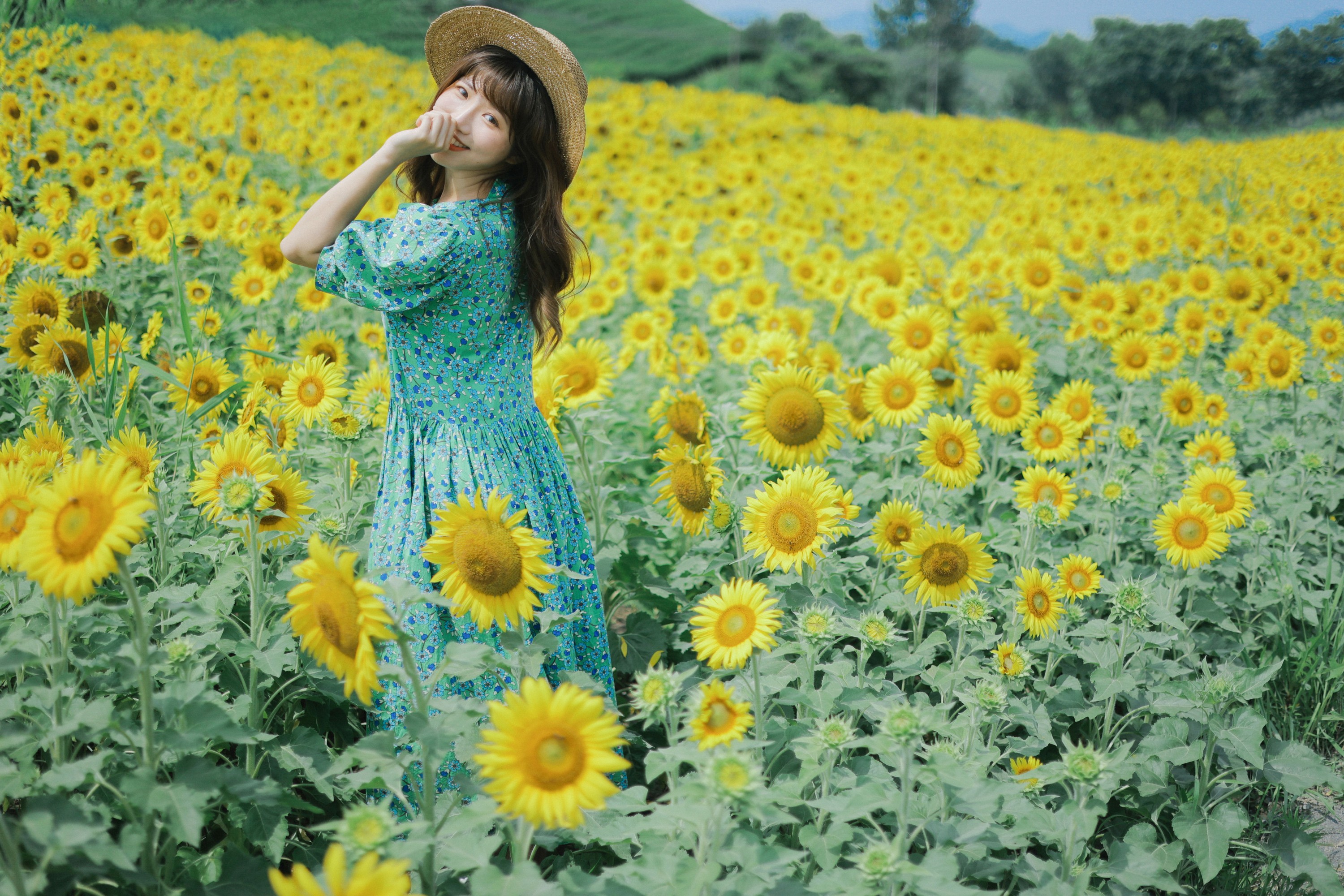 蓝胖子 – 《向日葵的夏日》[33P] 插图3