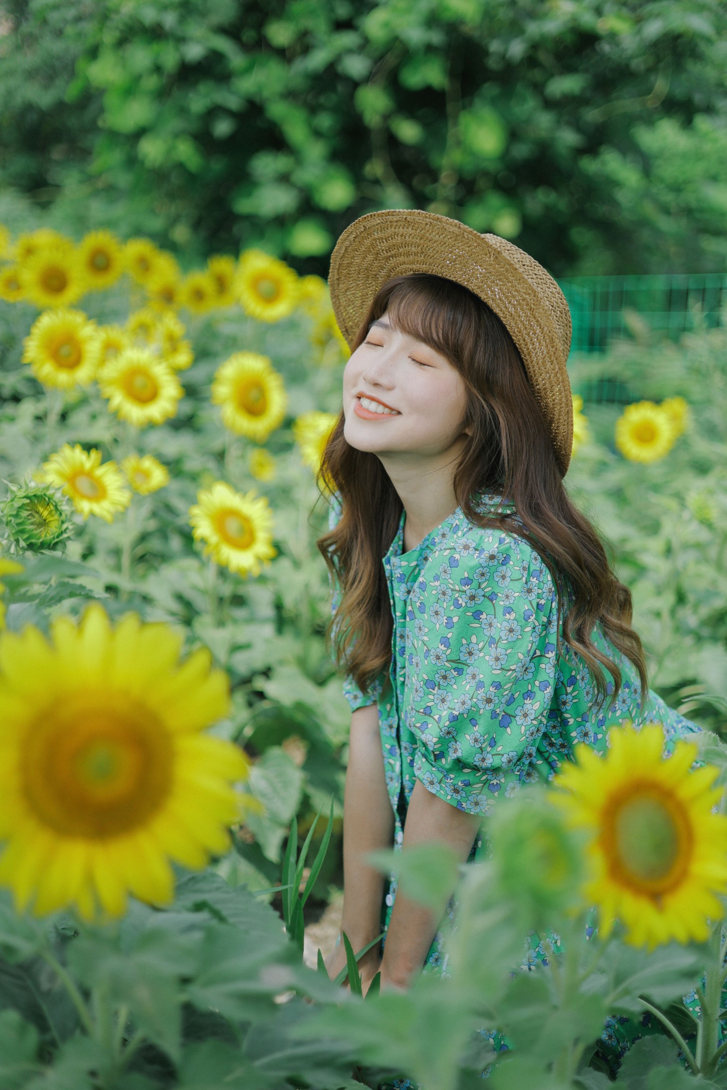 蓝胖子 – 《向日葵的夏日》[33P] 插图5