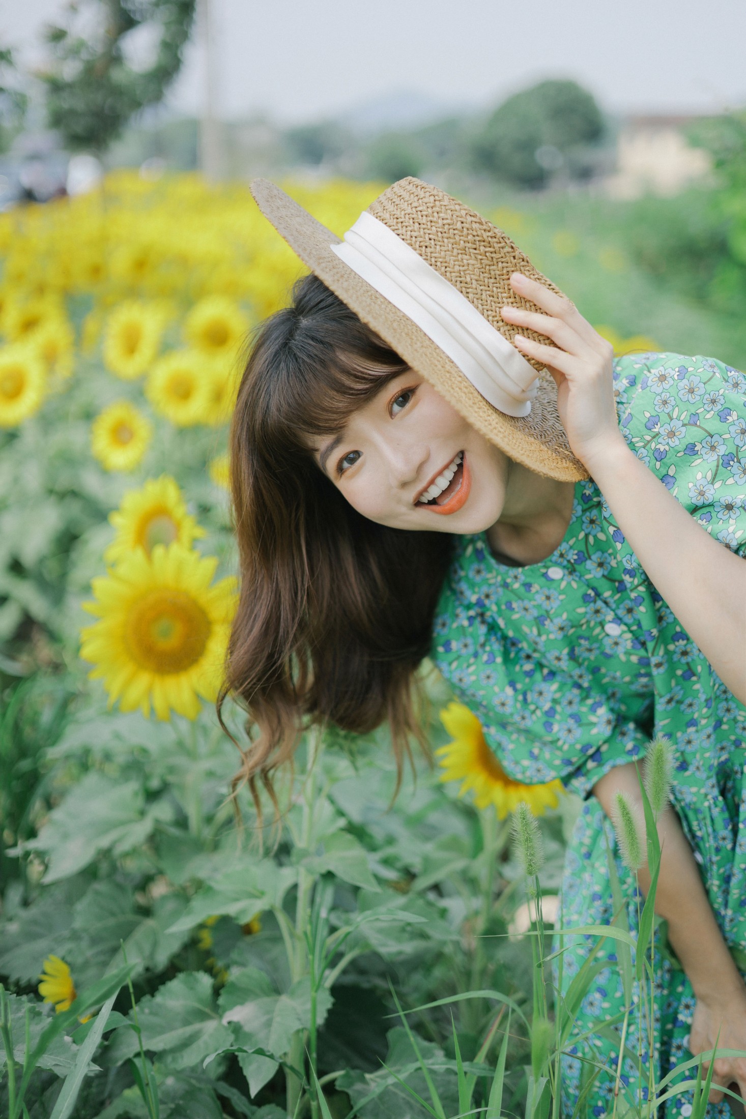 蓝胖子 – 《向日葵的夏日》[33P] 插图4