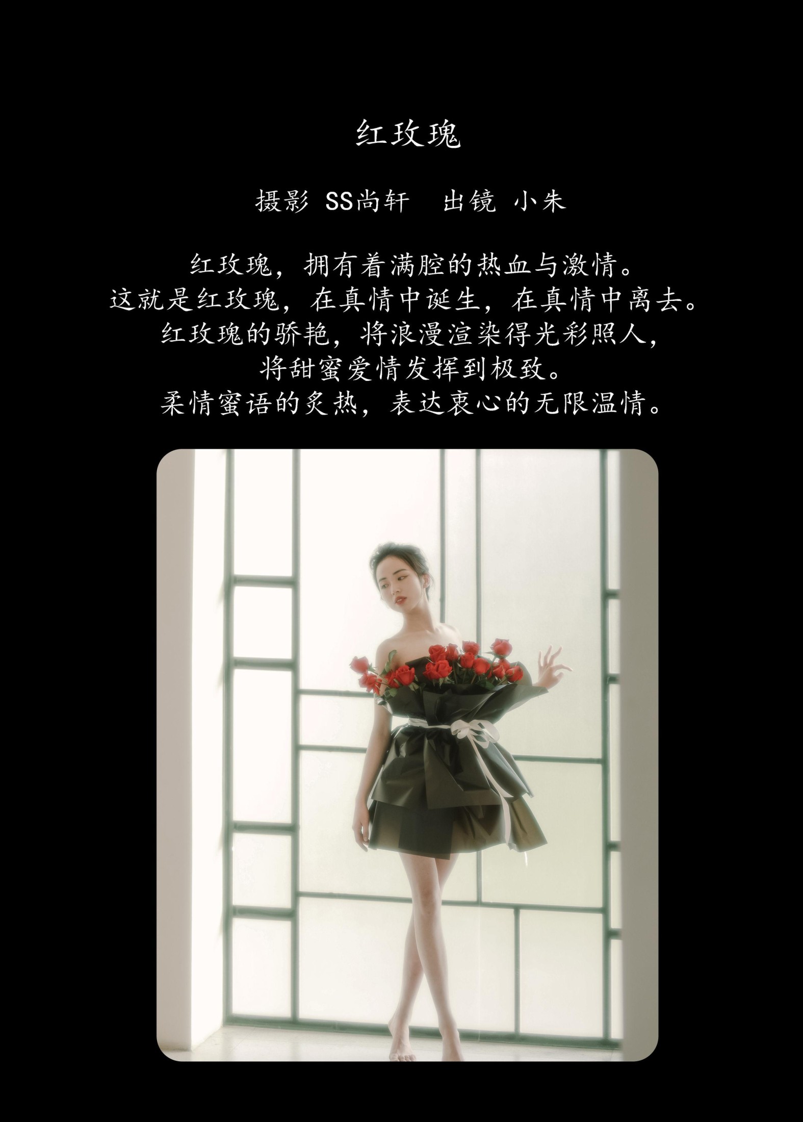 卖恐龙的小红薯 – 《红玫瑰》[34P] 插图2