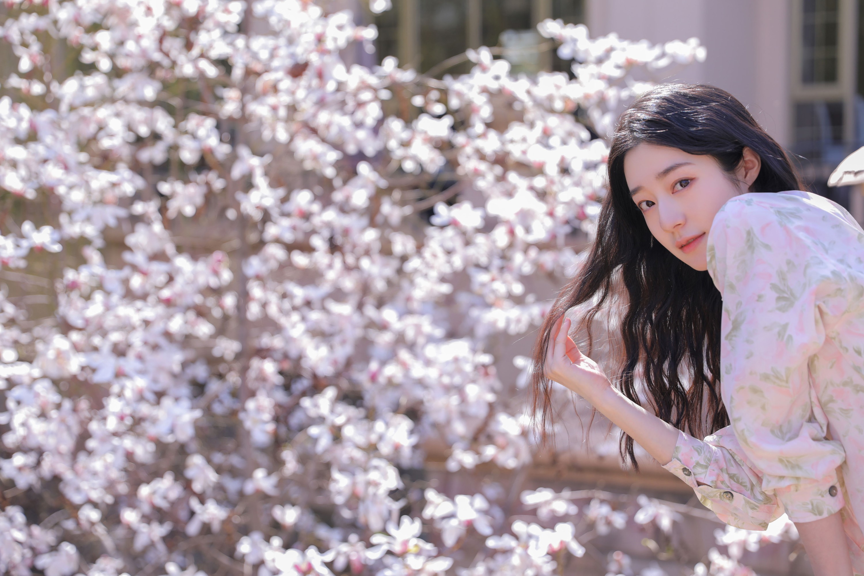 SS – 《遇见白花树》[20P] 插图5